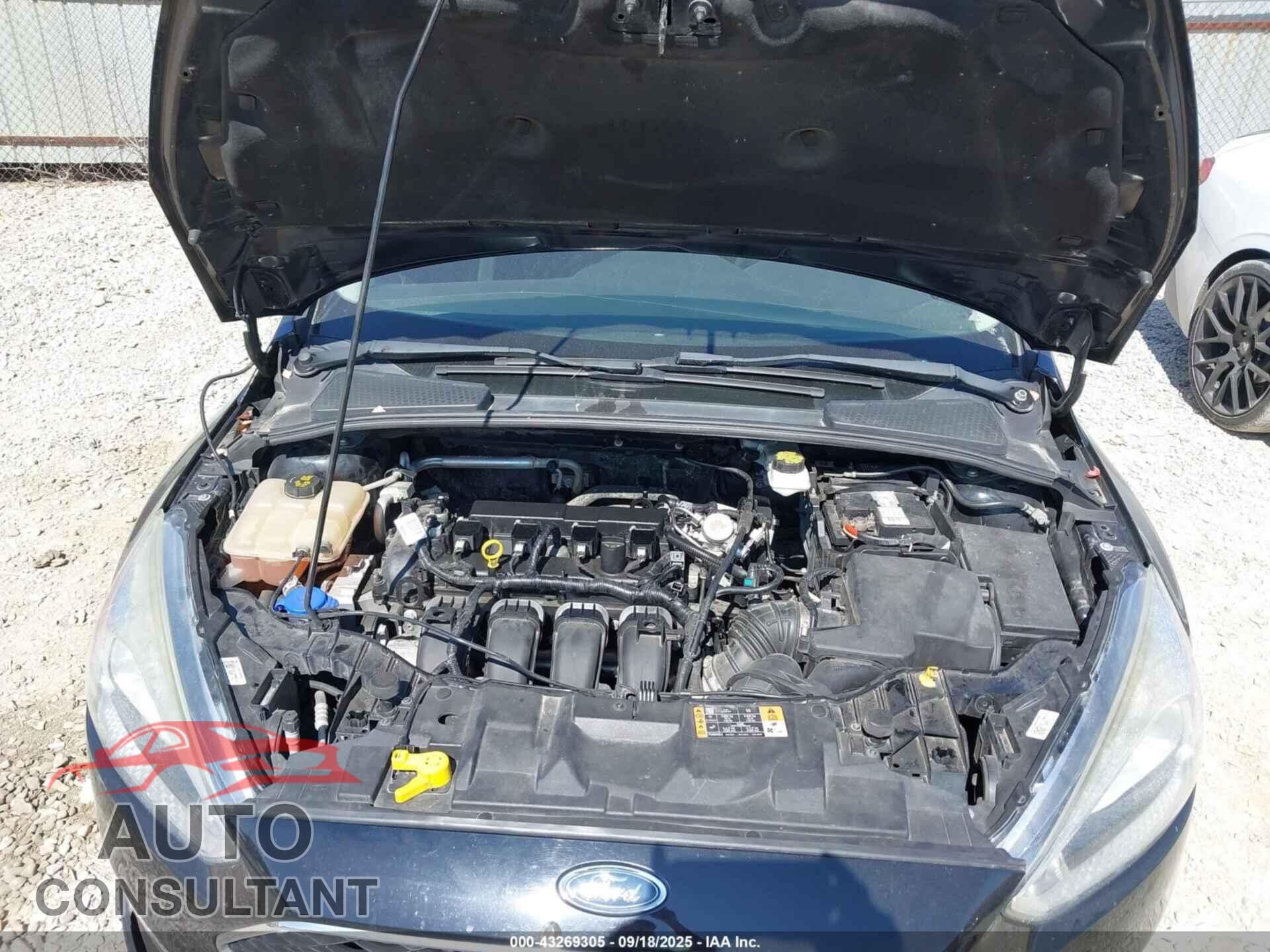 FORD FOCUS 2017 - 1FADP3F21HL295116