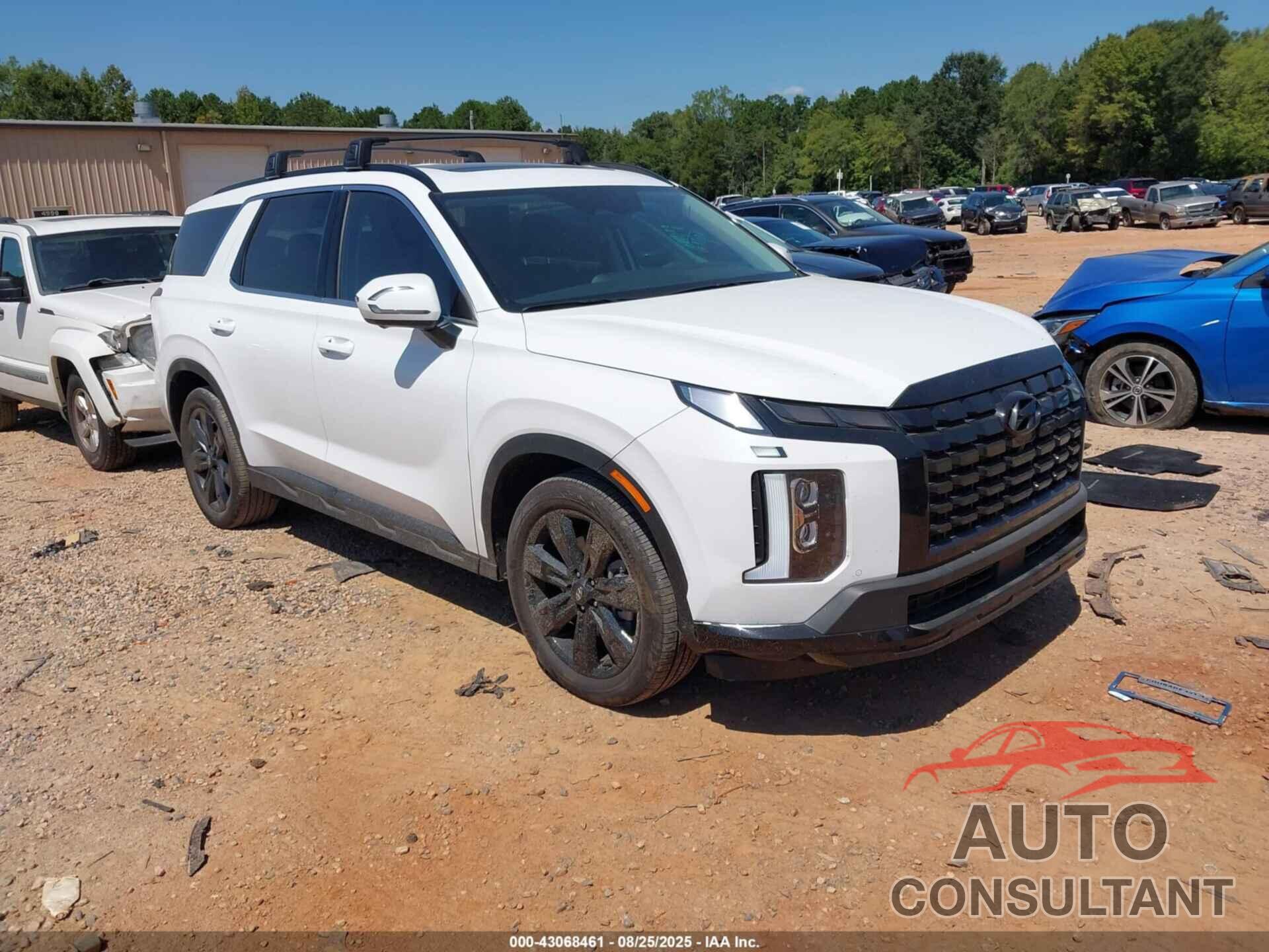 HYUNDAI PALISADE 2025 - KM8R34GE8SU890097
