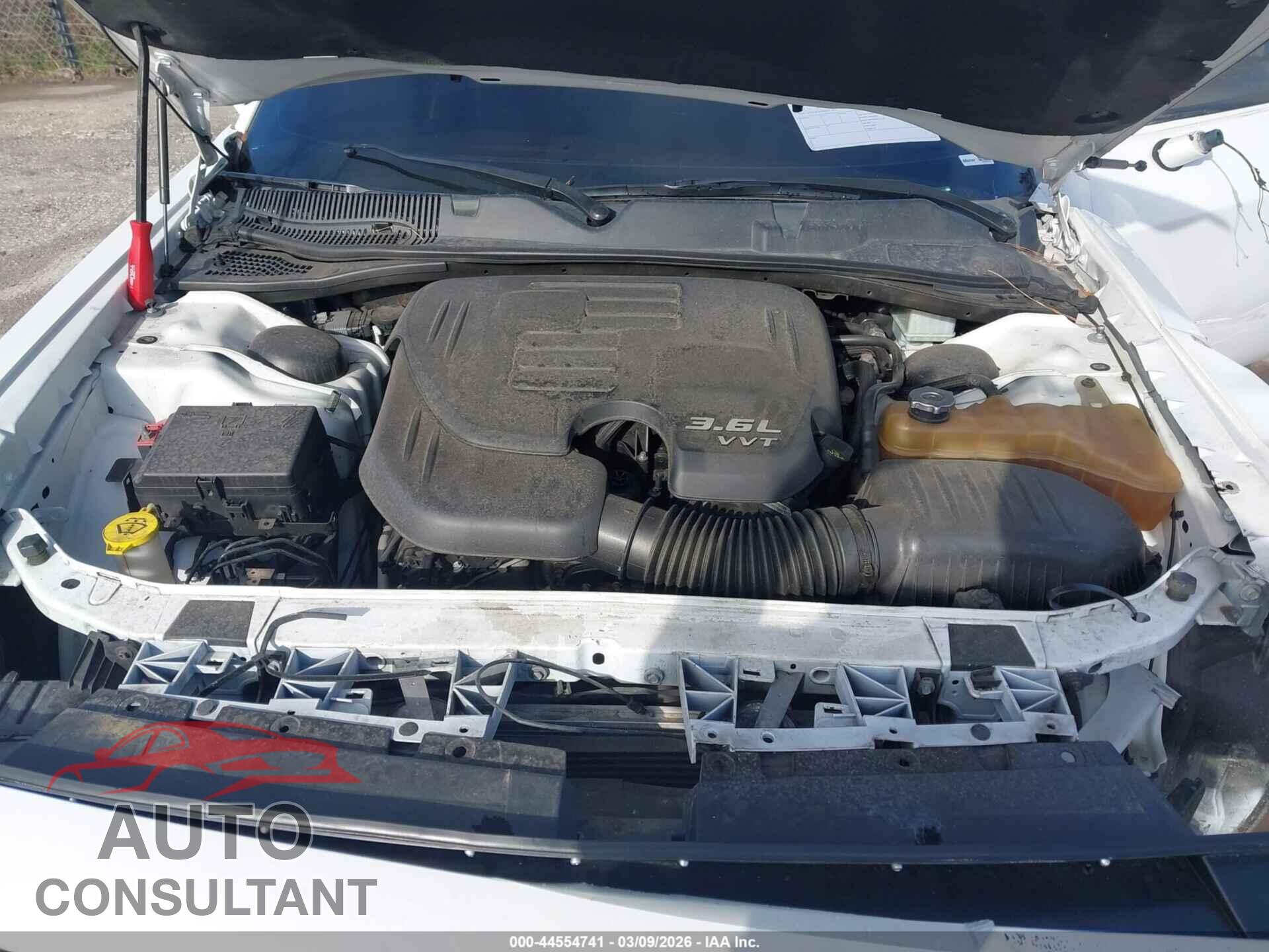 DODGE CHALLENGER 2019 - 2C3CDZAG9KH551483