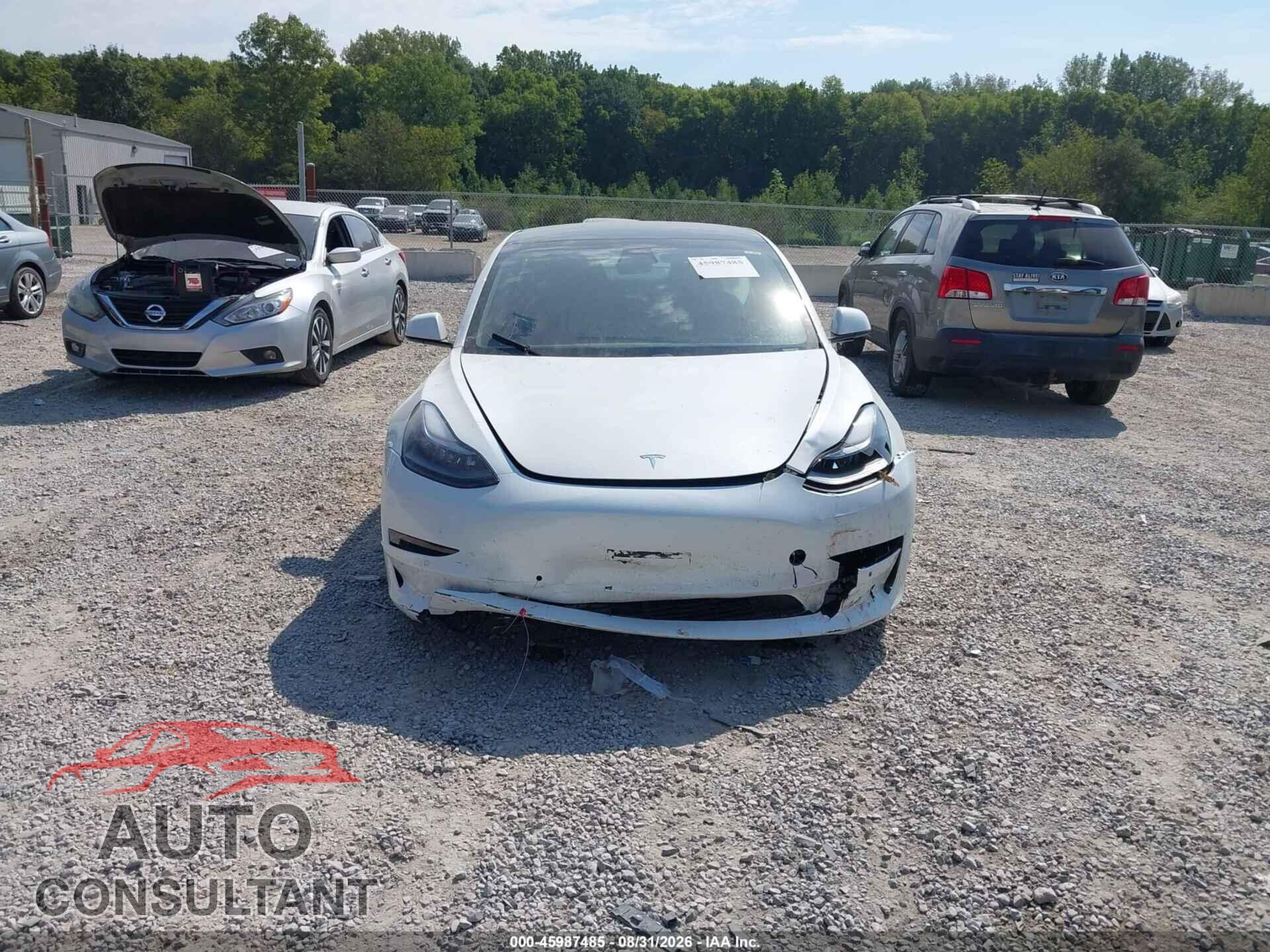 TESLA MODEL 3 2021 - 5YJ3E1EB7MF049556