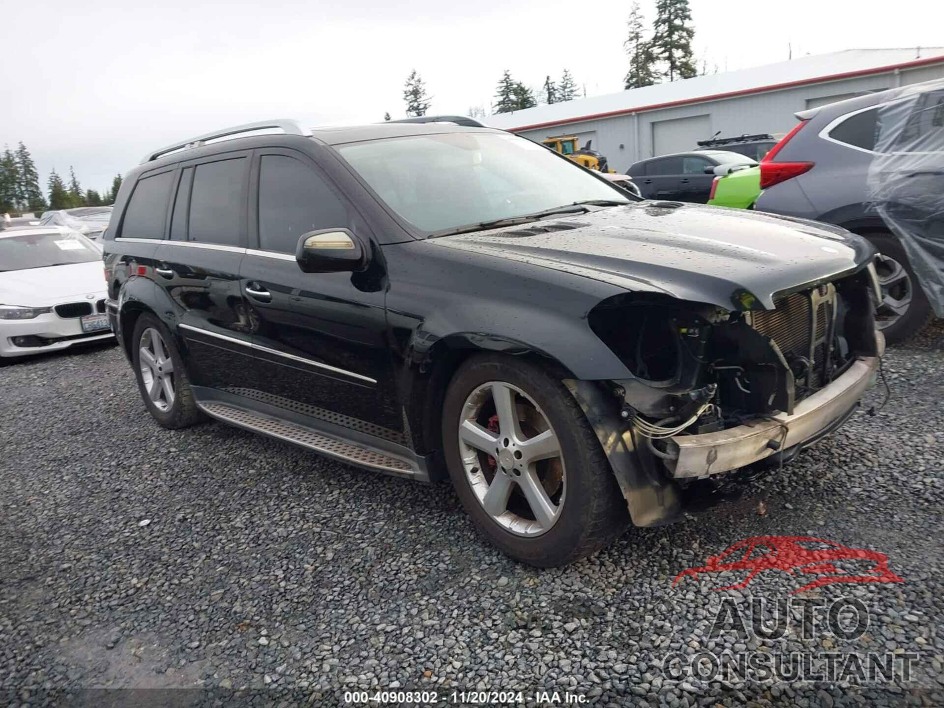MERCEDES-BENZ GL 450 2009 - 4JGBF71E19A510225