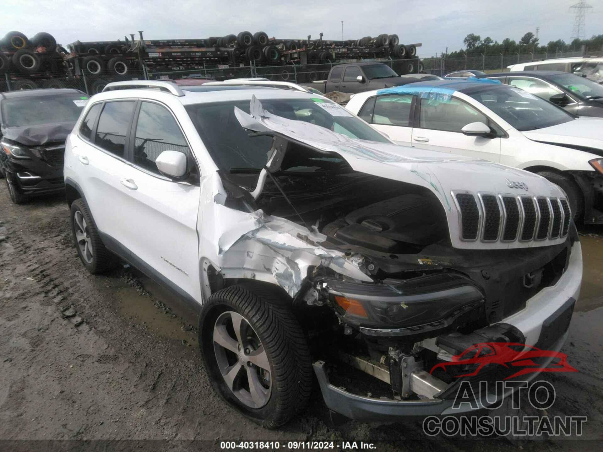 JEEP CHEROKEE 2019 - 1C4PJMDXXKD218825