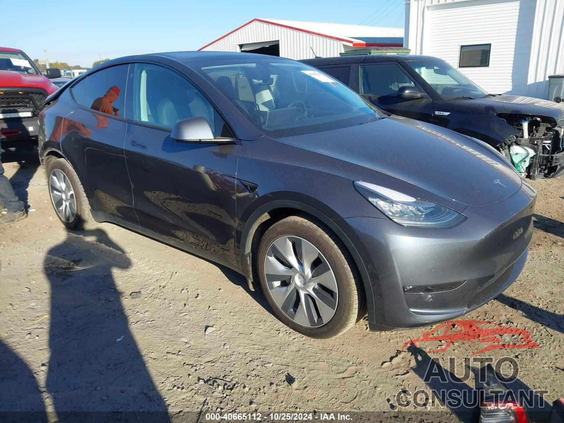 TESLA MODEL Y 2021 - 5YJYGDEE1MF176900