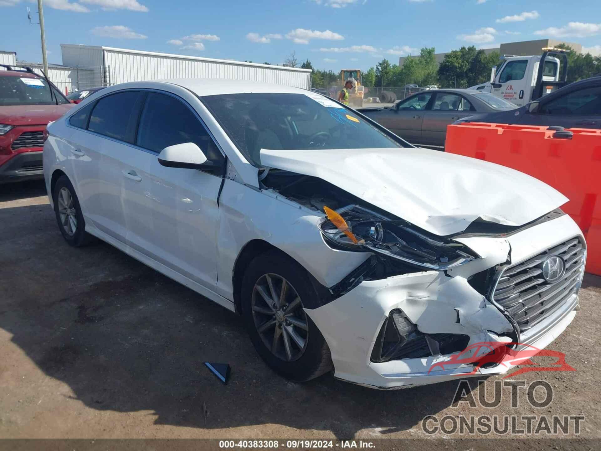 HYUNDAI SONATA 2019 - 5NPE24AF0KH769193