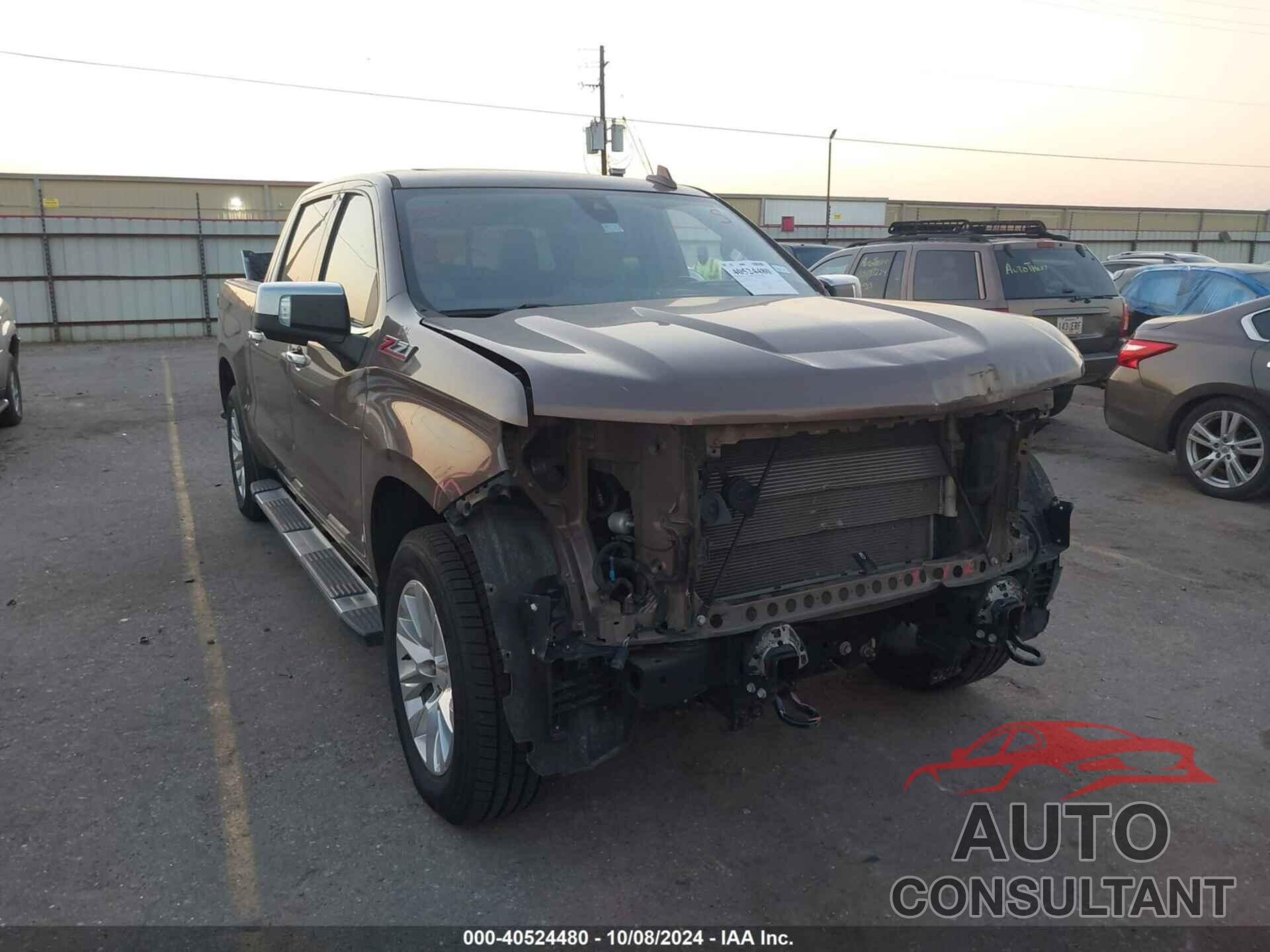 CHEVROLET SILVERADO 1500 2019 - 3GCUYGED7KG227764