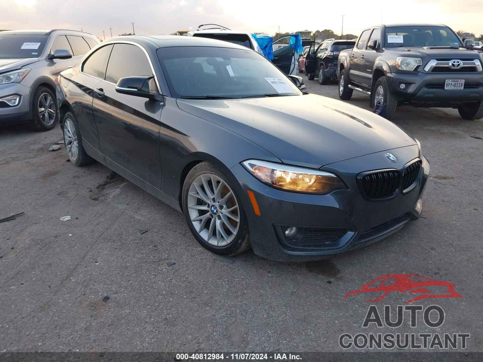 BMW 228I 2014 - WBA1F5C56EVV98870