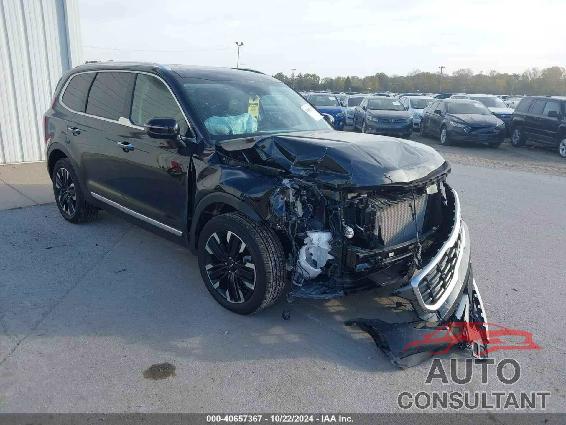 KIA TELLURIDE 2024 - 5XYP5DGC2RG475633