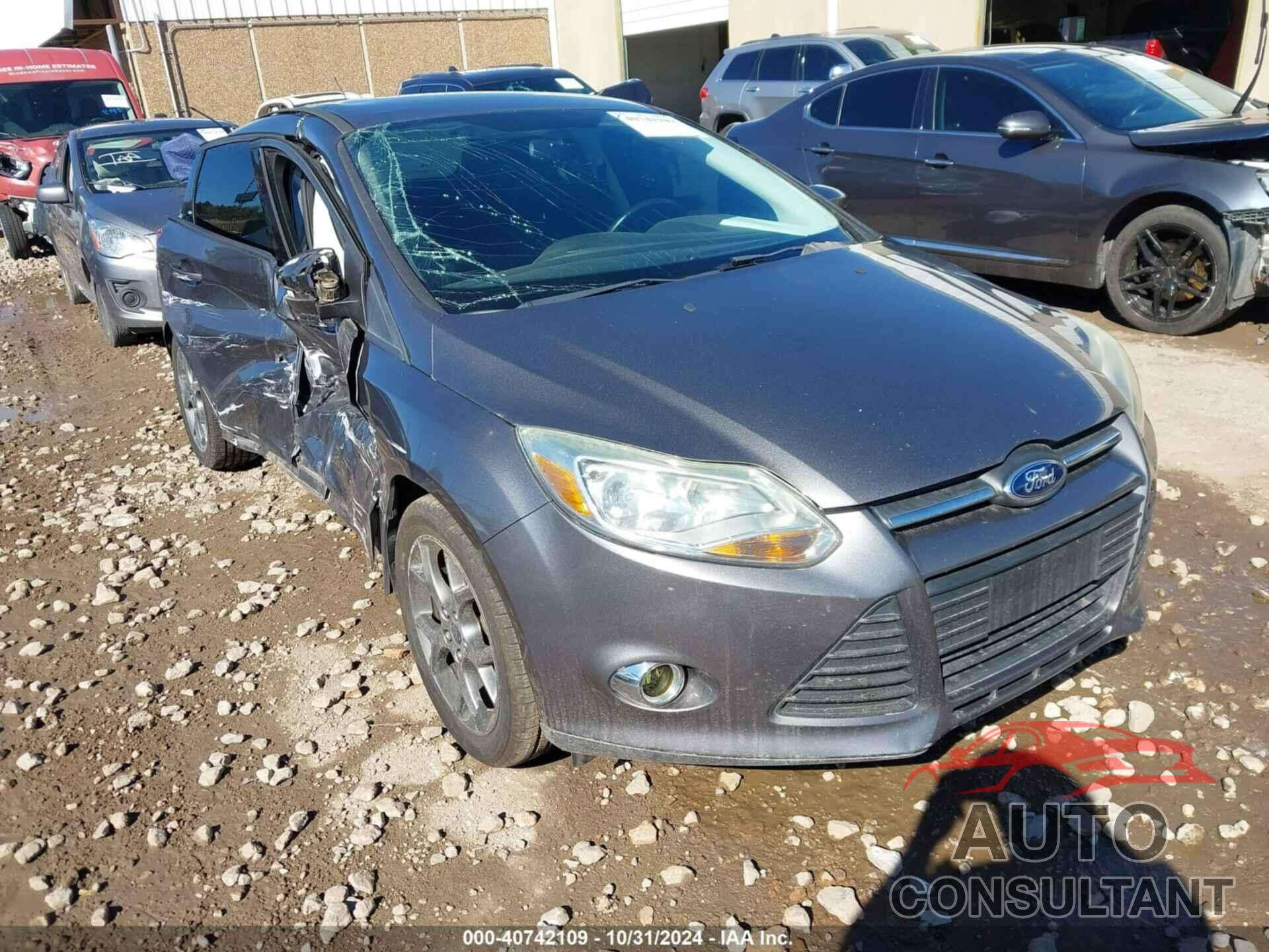 FORD FOCUS 2013 - 1FADP3F23DL243934