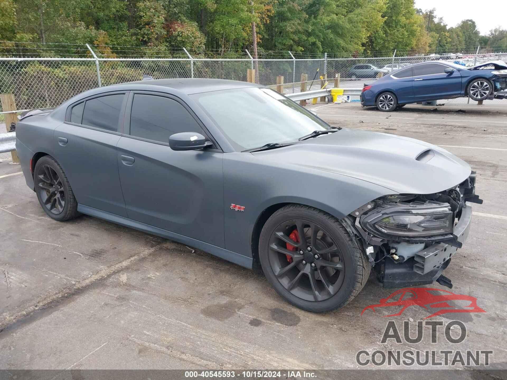 DODGE CHARGER 2020 - 2C3CDXGJ4LH160556