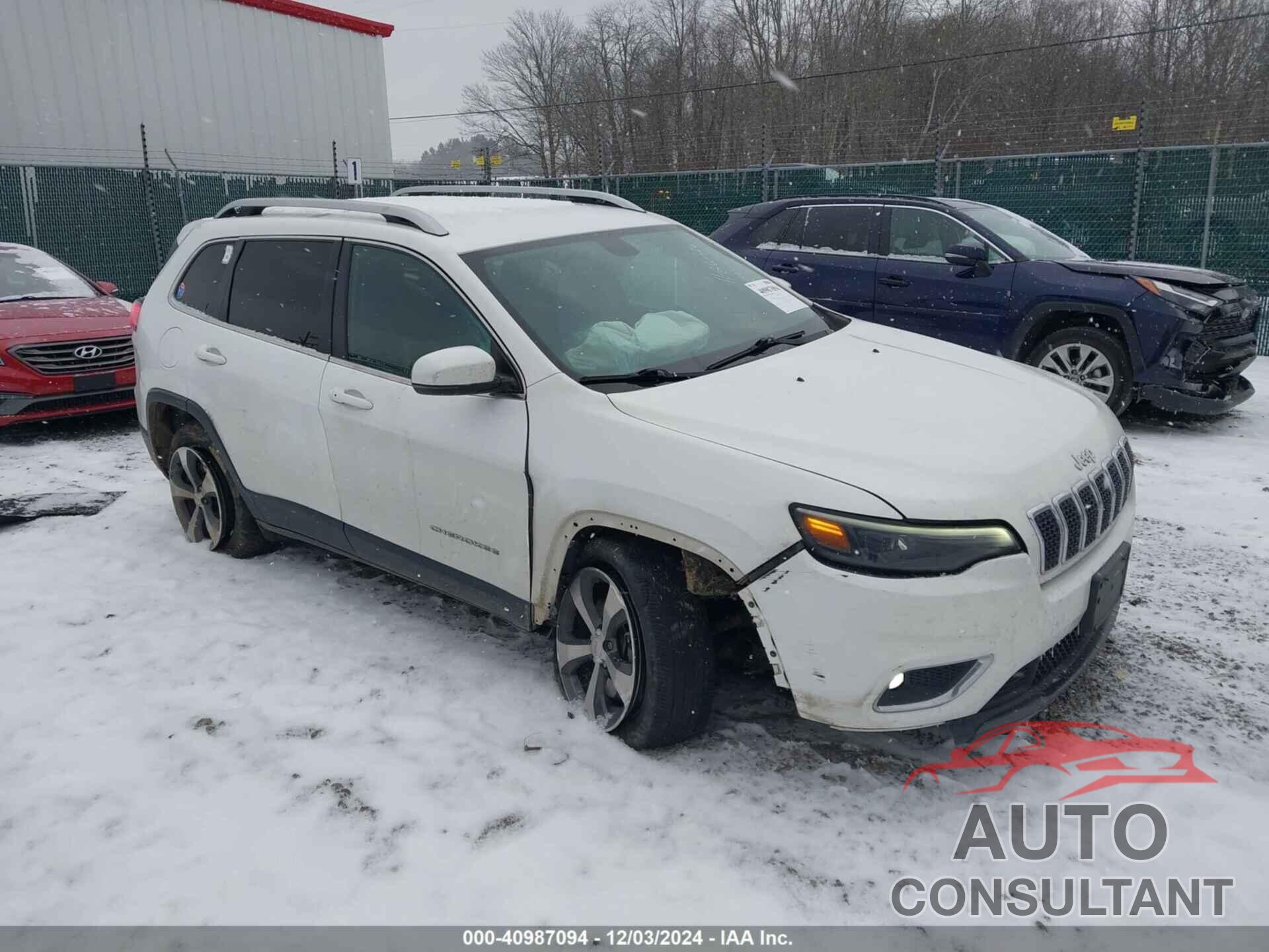 JEEP CHEROKEE 2019 - 1C4PJMDX6KD131844