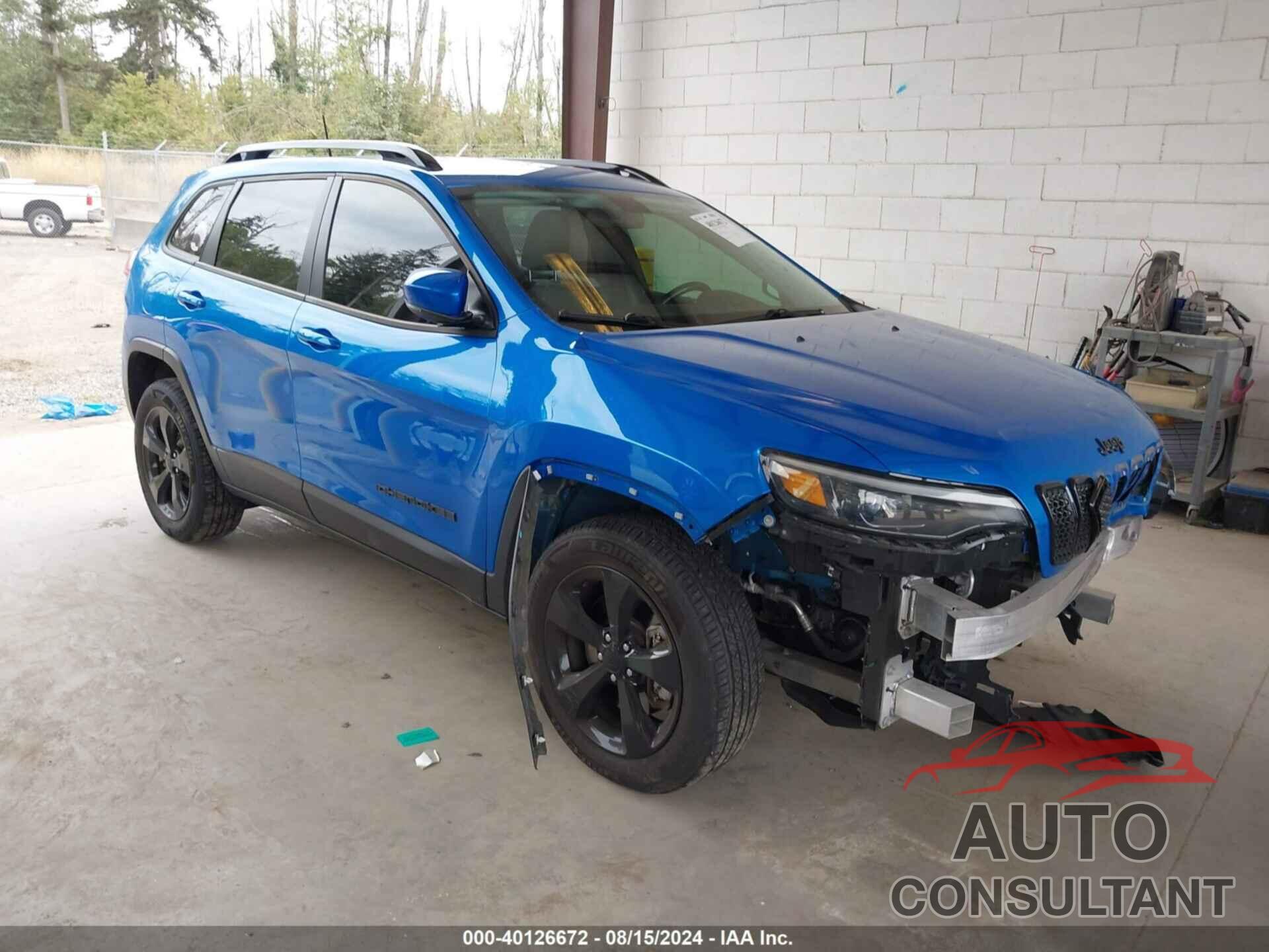 JEEP CHEROKEE 2020 - 1C4PJMLB9LD527693