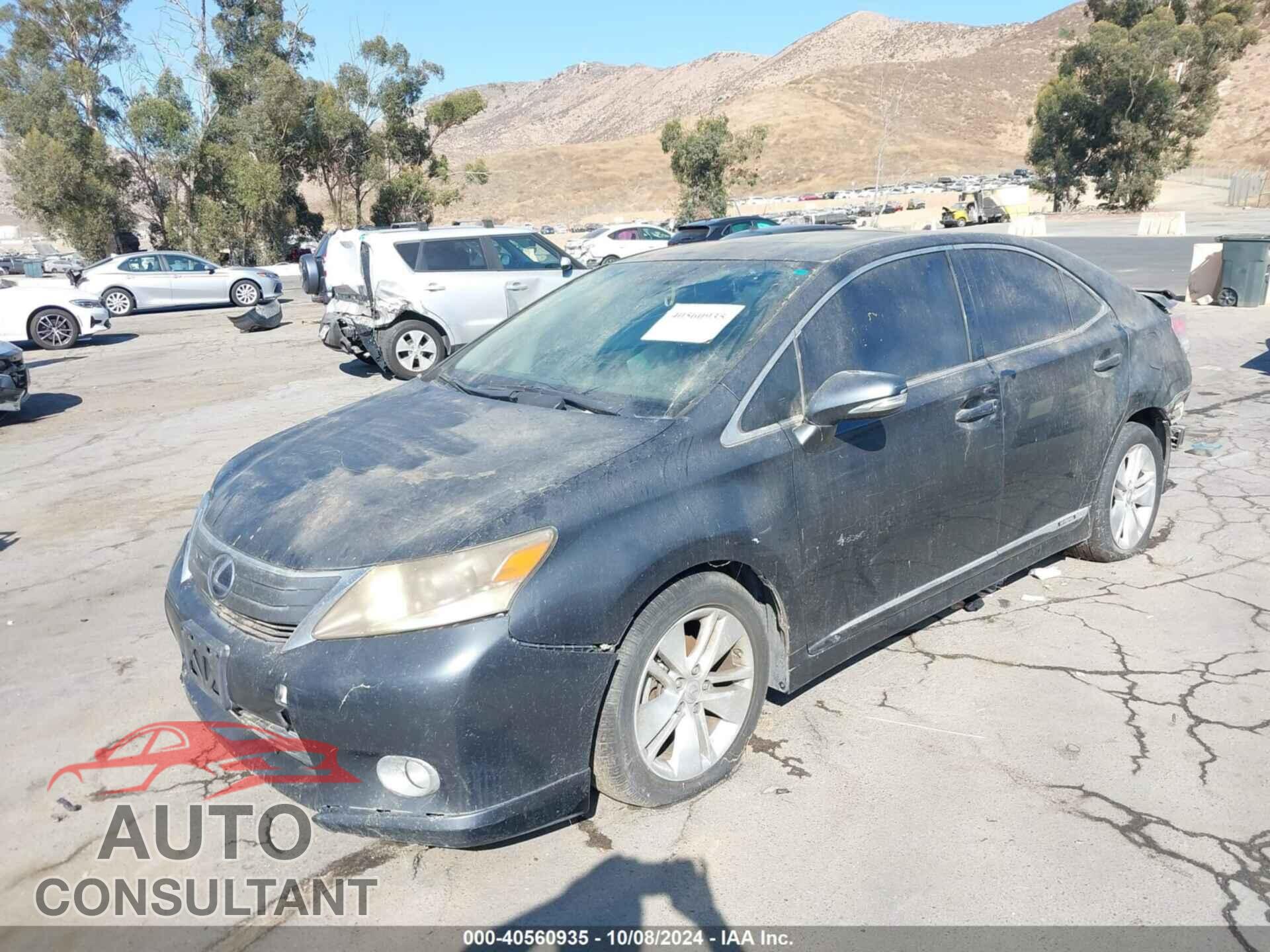 LEXUS HS 250H 2010 - JTHBB1BA8A2009872