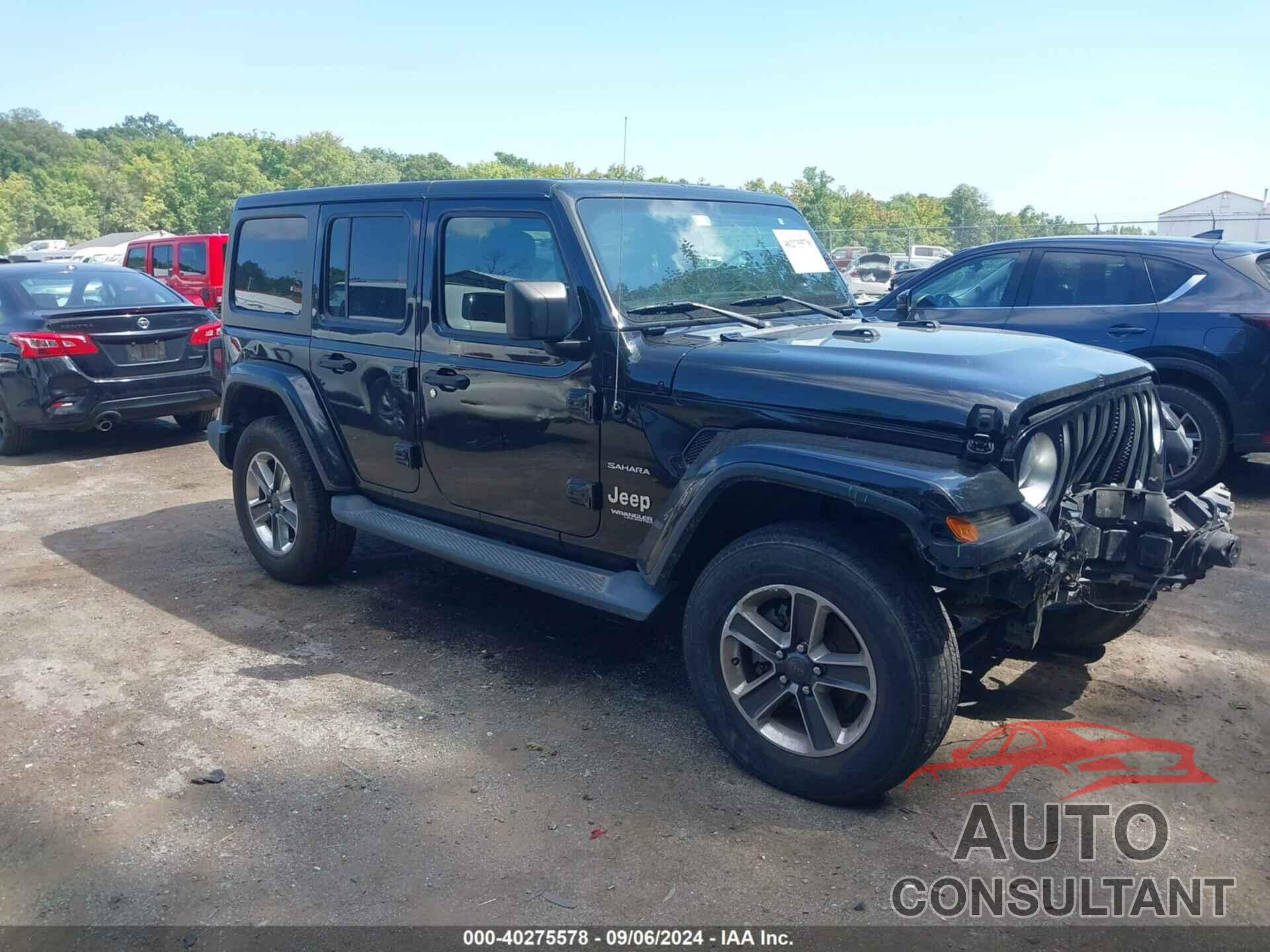 JEEP WRANGLER UNLIMITED 2019 - 1C4HJXEN1KW515084