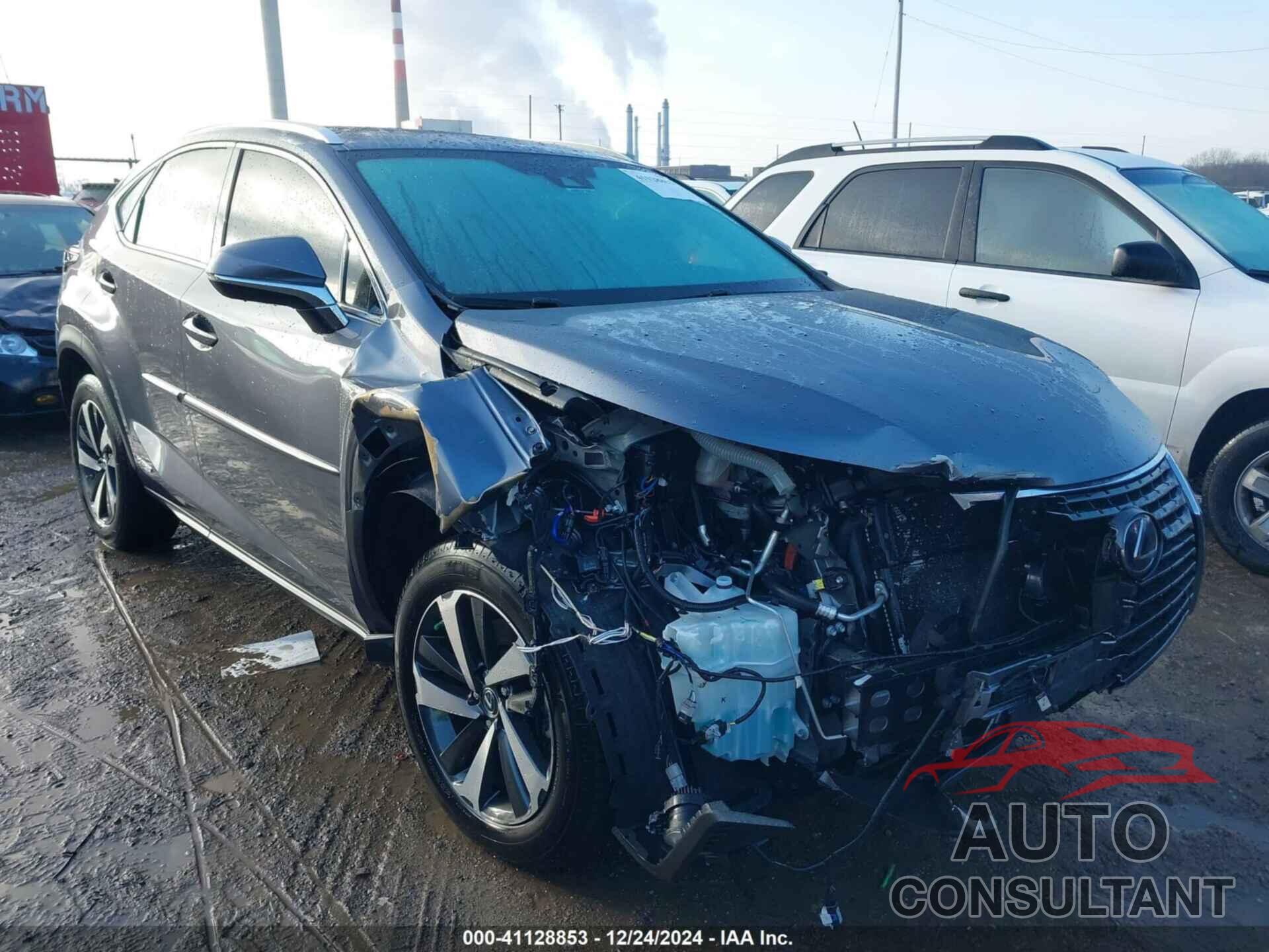 LEXUS NX 300H 2020 - JTJGJRDZ1L2141321