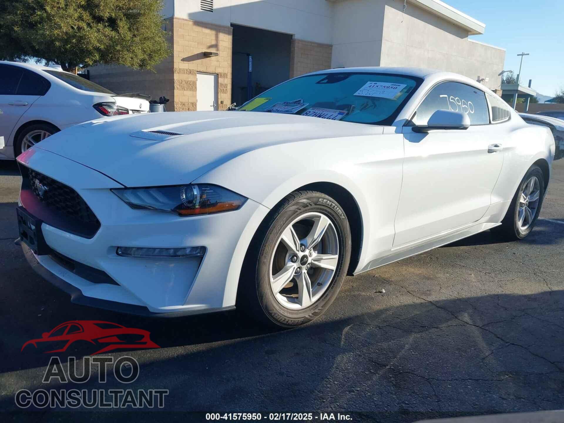FORD MUSTANG 2021 - 1FA6P8TH5M5146799