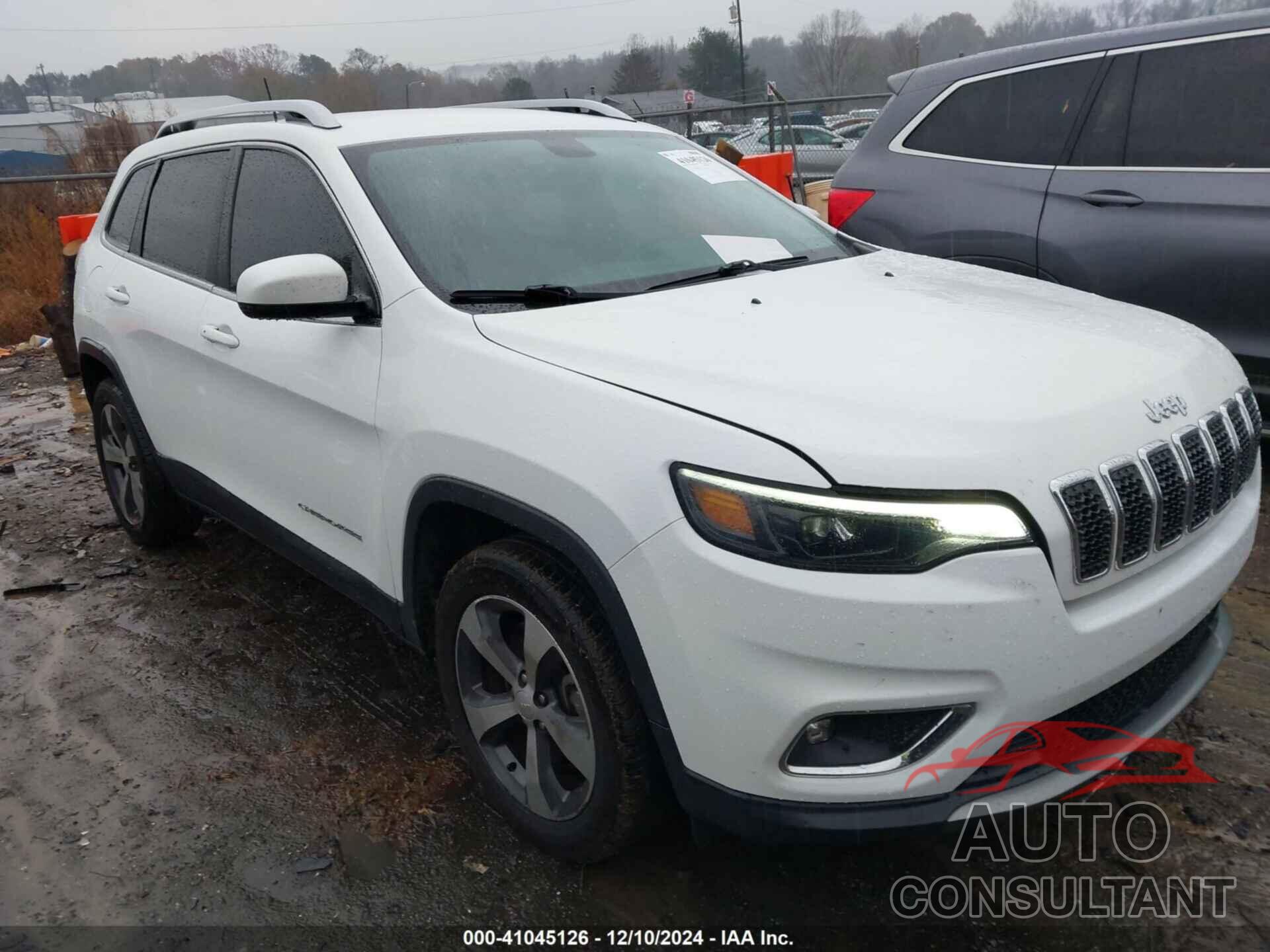 JEEP CHEROKEE 2019 - 1C4PJLDBXKD387127