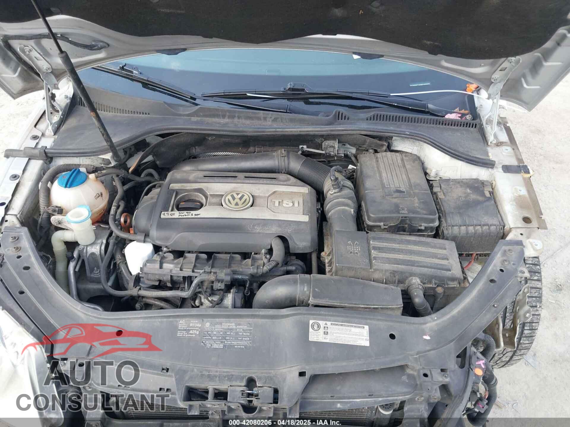 VOLKSWAGEN EOS 2011 - WVWBW7AH9BV003893