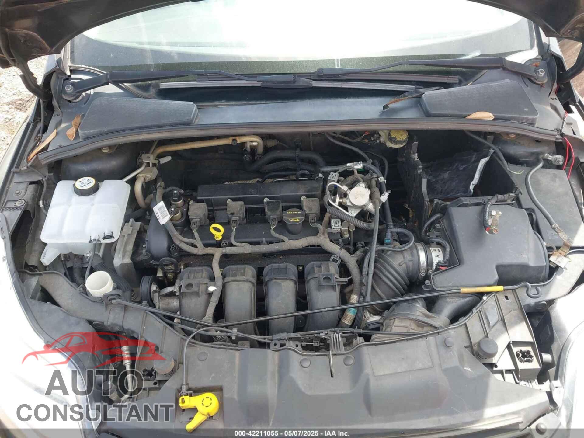 FORD FOCUS 2012 - 1FAHP3F25CL365601
