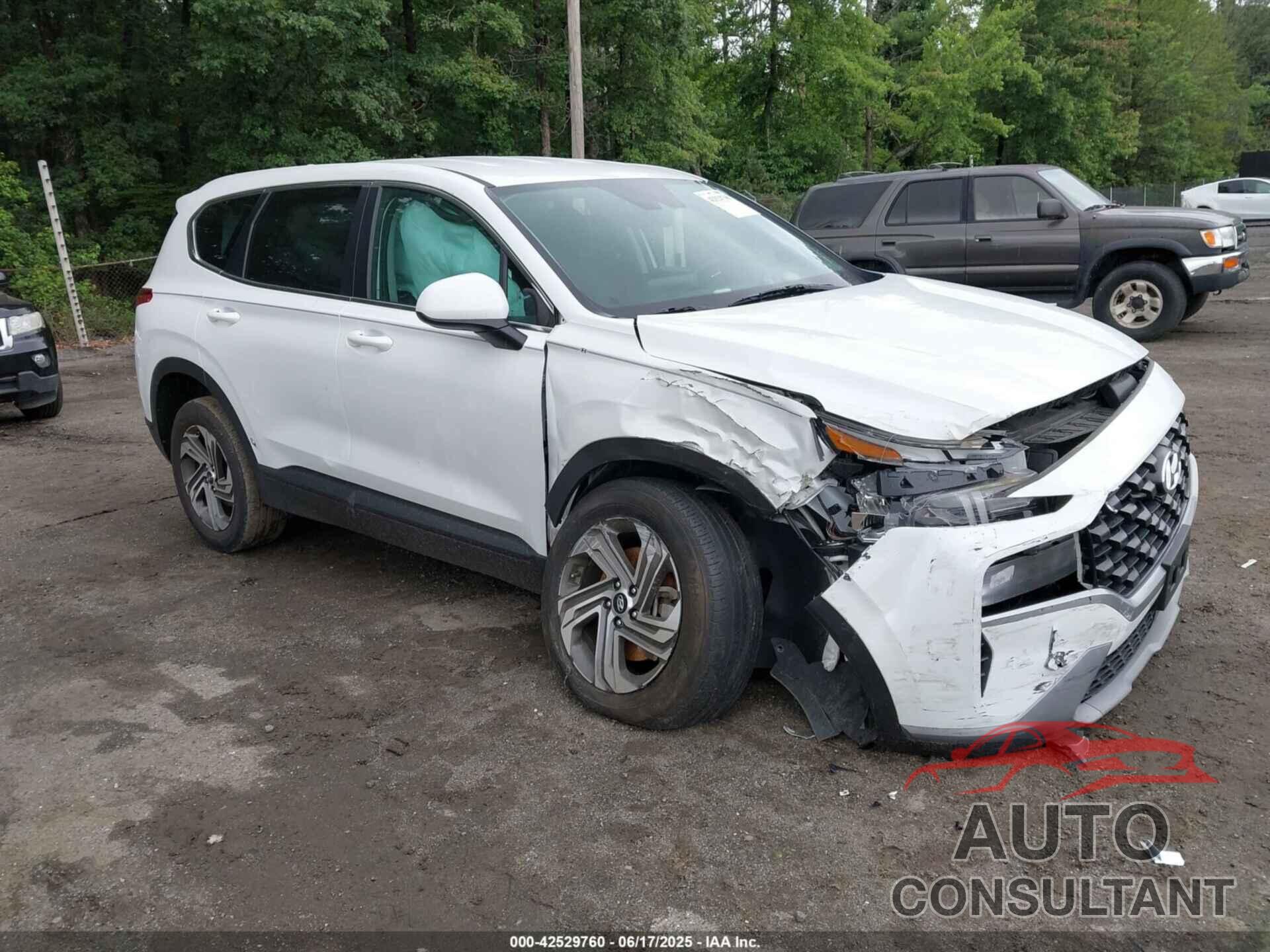 HYUNDAI SANTA FE 2023 - 5NMS1DAJ3PH488231