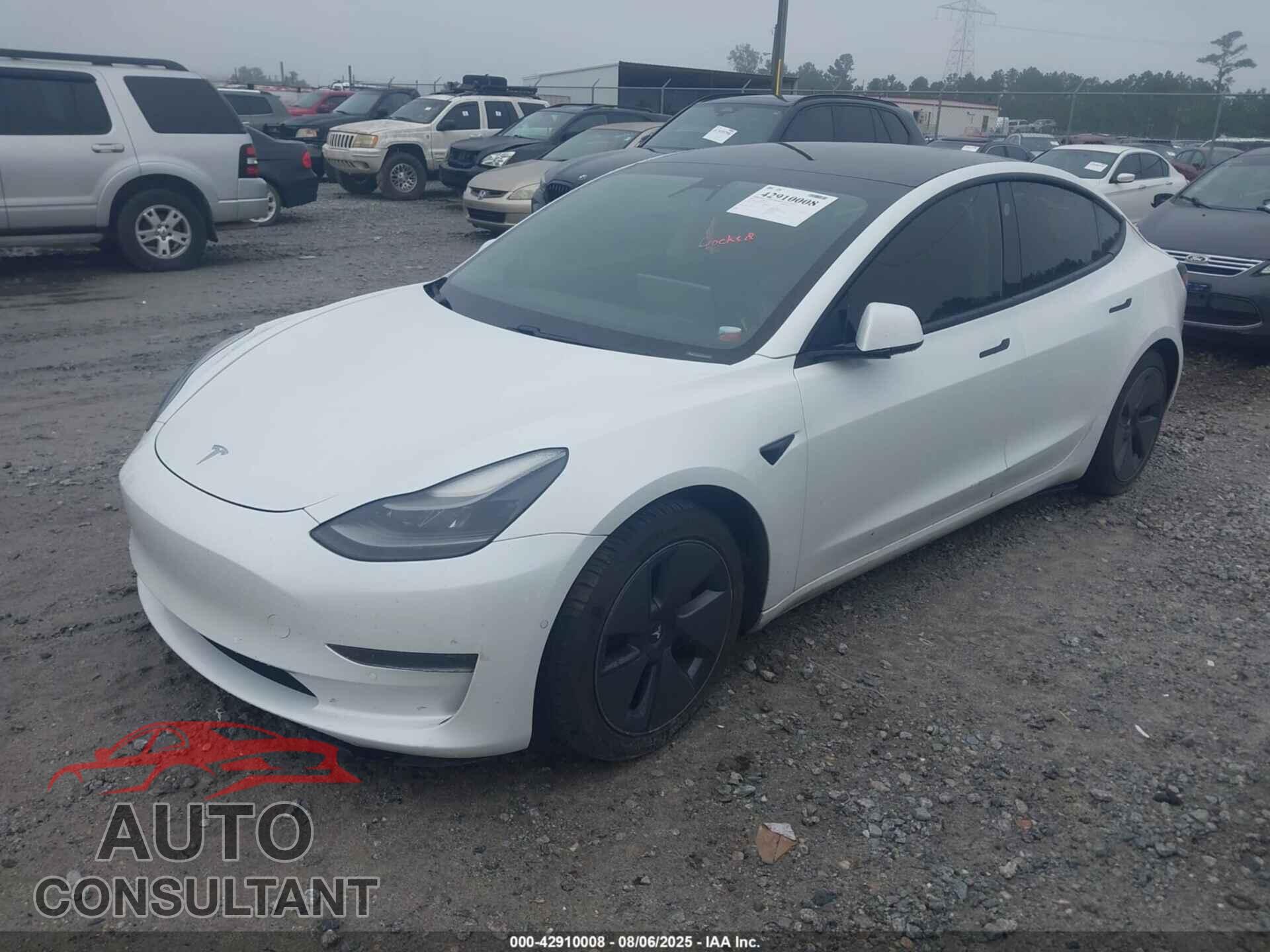 TESLA MODEL 3 2021 - 5YJ3E1EA0MF919316