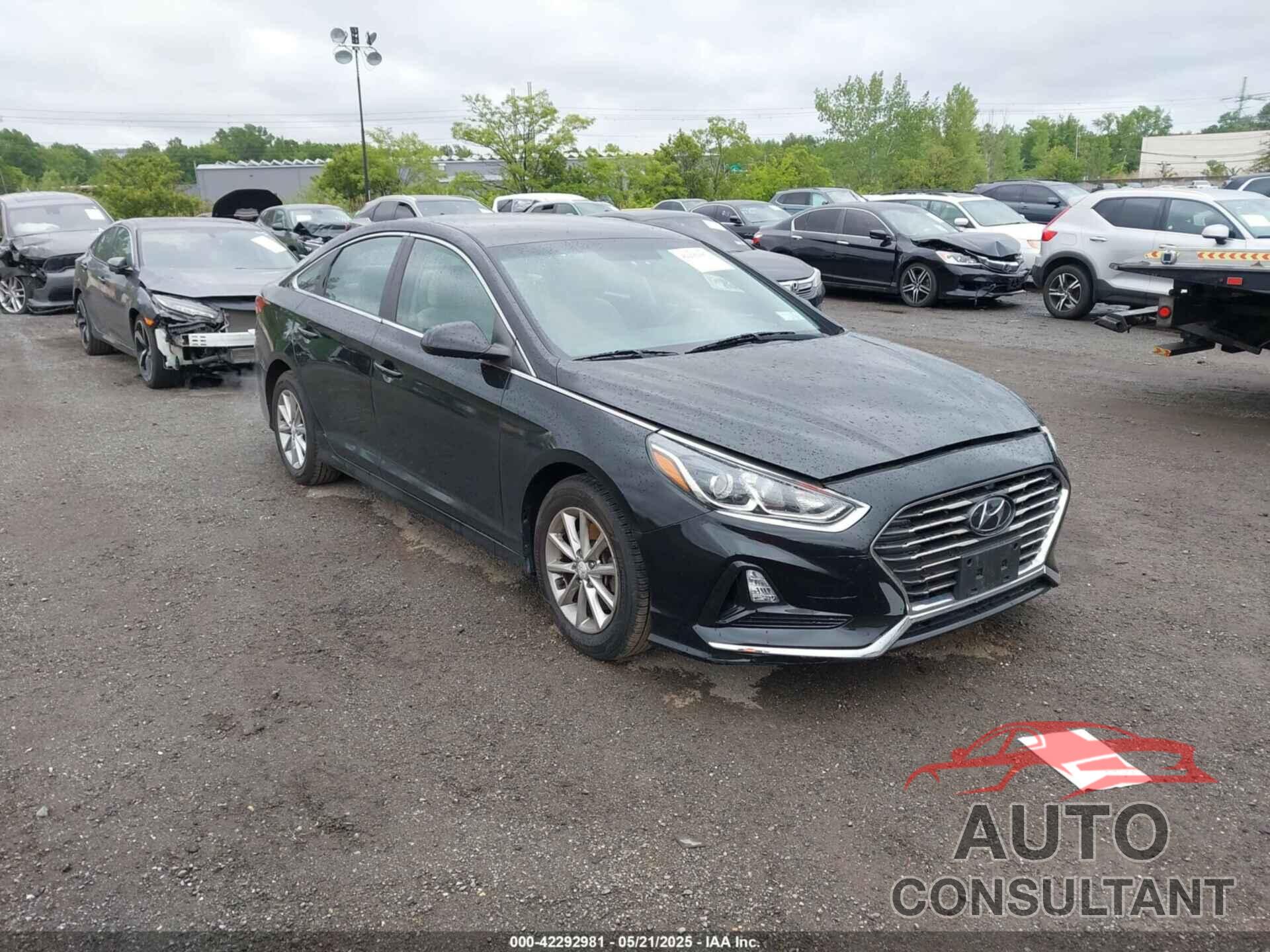HYUNDAI SONATA 2019 - 5NPE24AF0KH735707