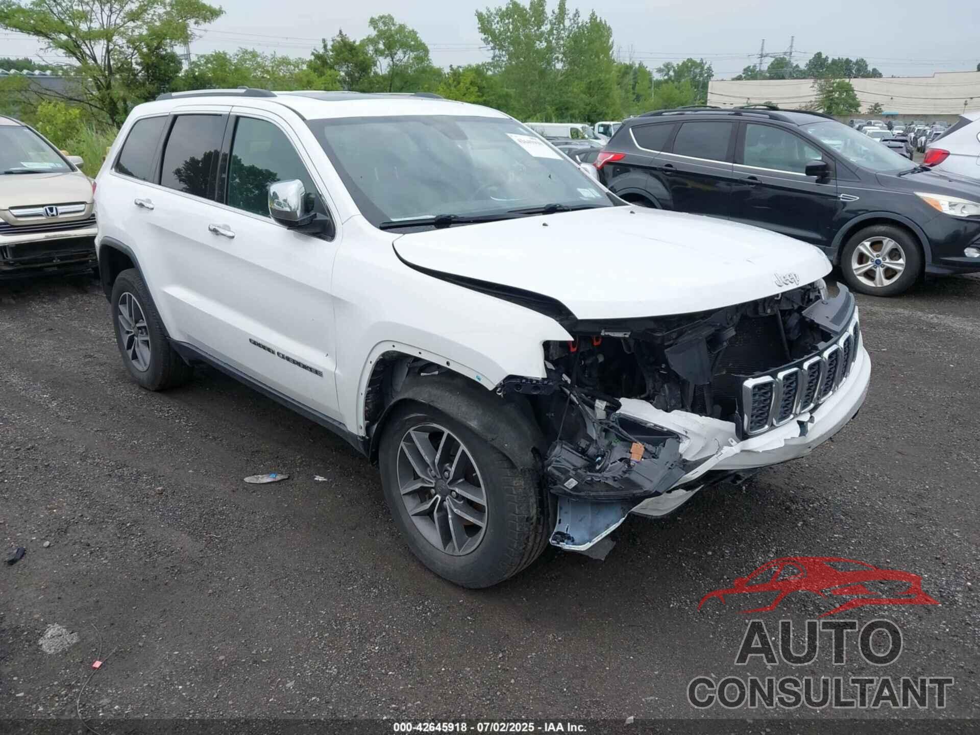 JEEP GRAND CHEROKEE 2019 - 1C4RJFBG2KC697464