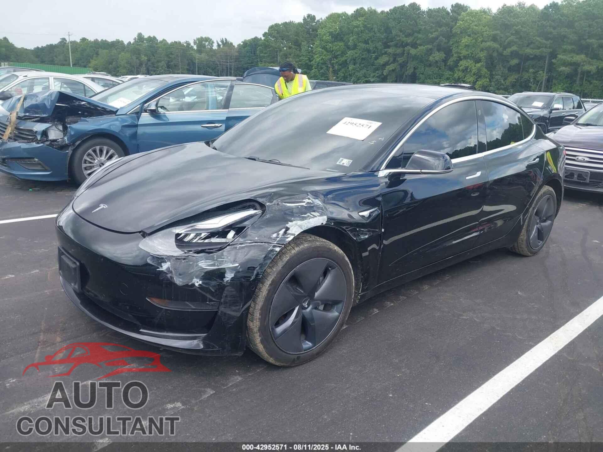 TESLA MODEL 3 2019 - 5YJ3E1EA2KF399150
