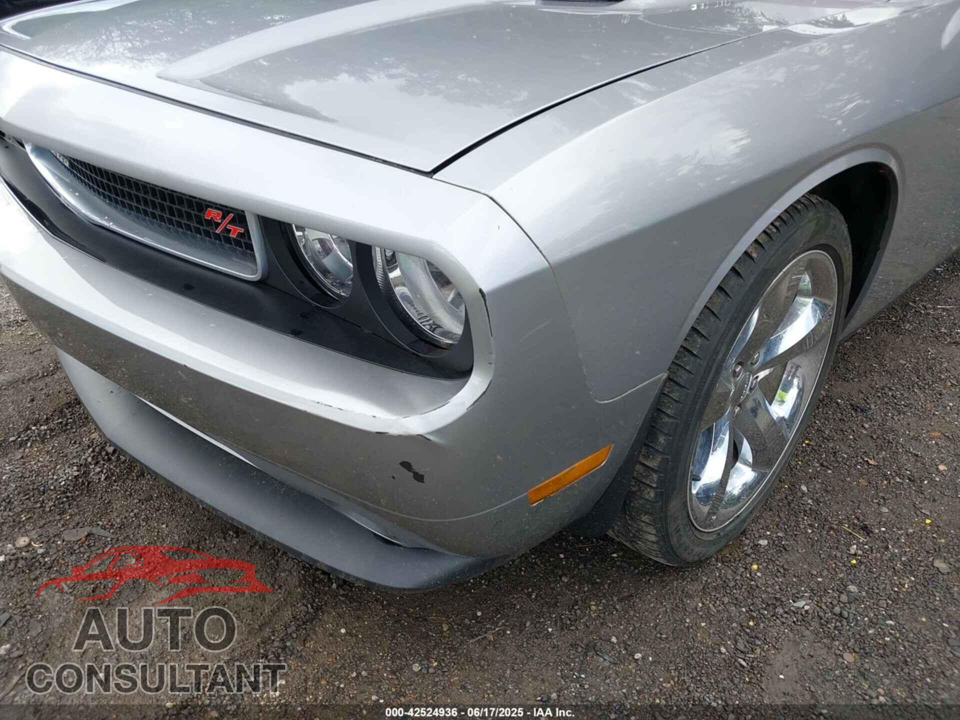 DODGE CHALLENGER 2013 - 2C3CDYBT3DH695202