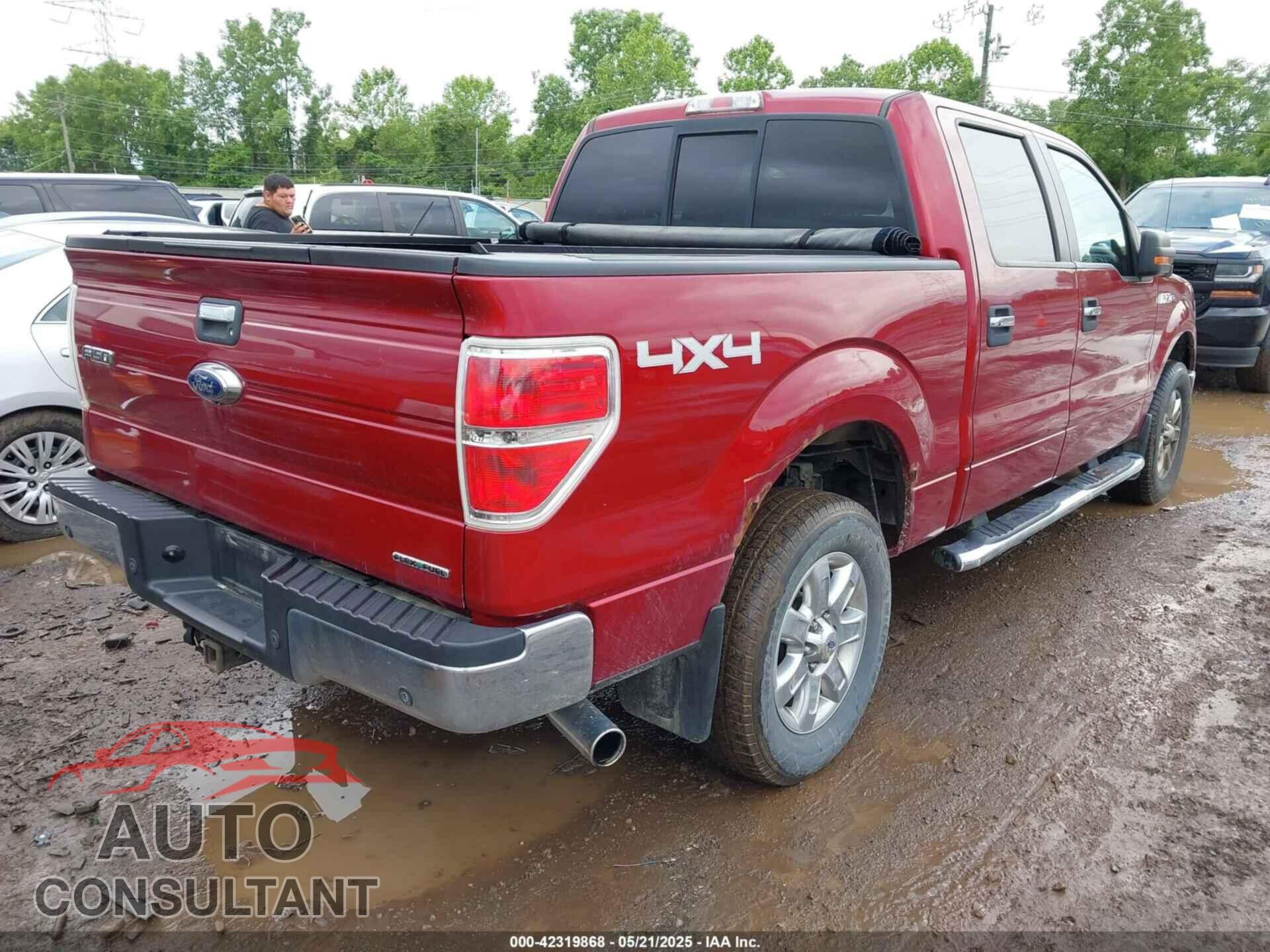 FORD F-150 2013 - 1FTFW1EF3DFD32402