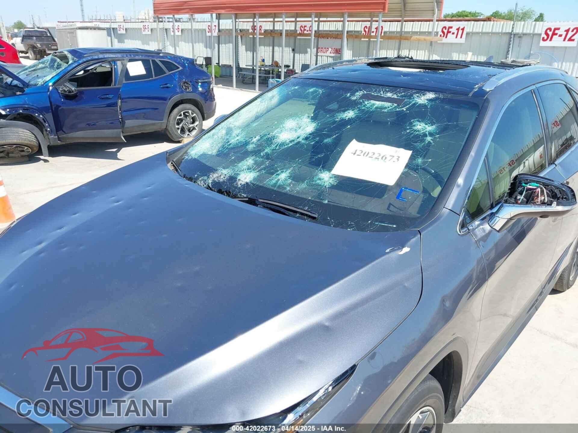 LEXUS RX 350 2019 - 2T2ZZMCA8KC149401