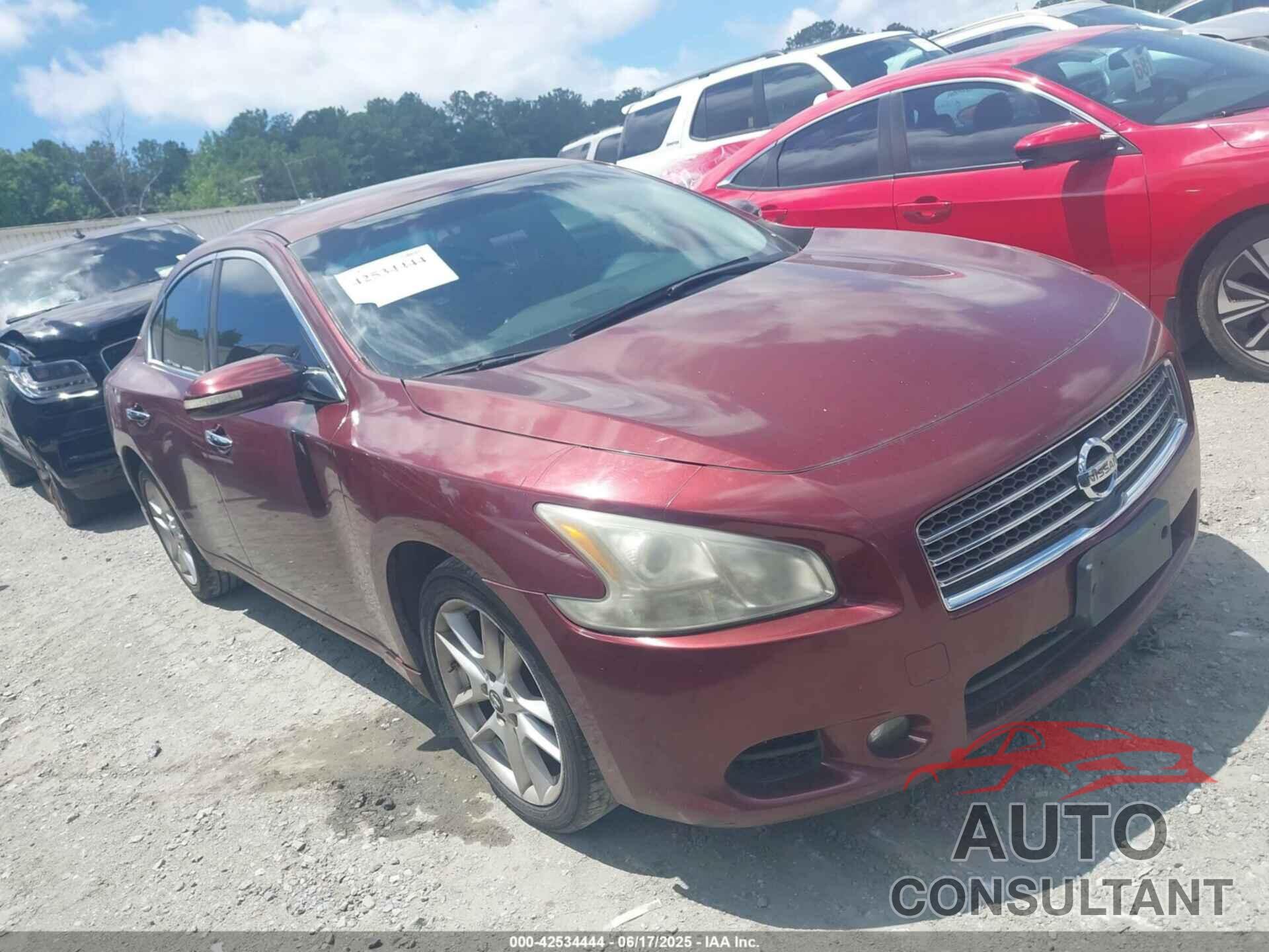 NISSAN MAXIMA 2011 - 1N4AA5AP8BC851559