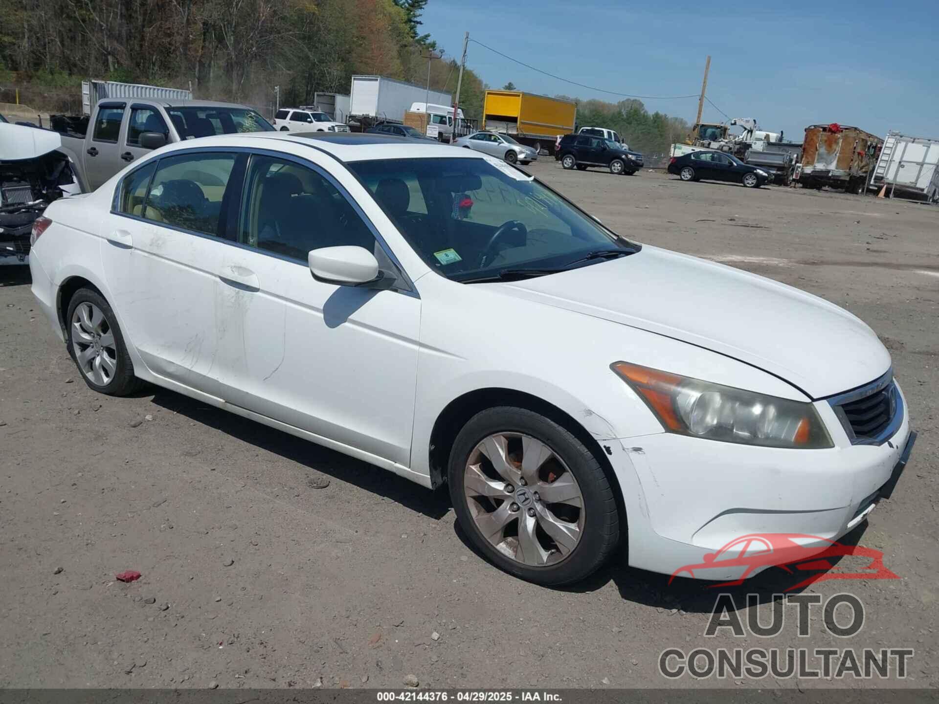 HONDA ACCORD 2009 - JHMCP26849C010025