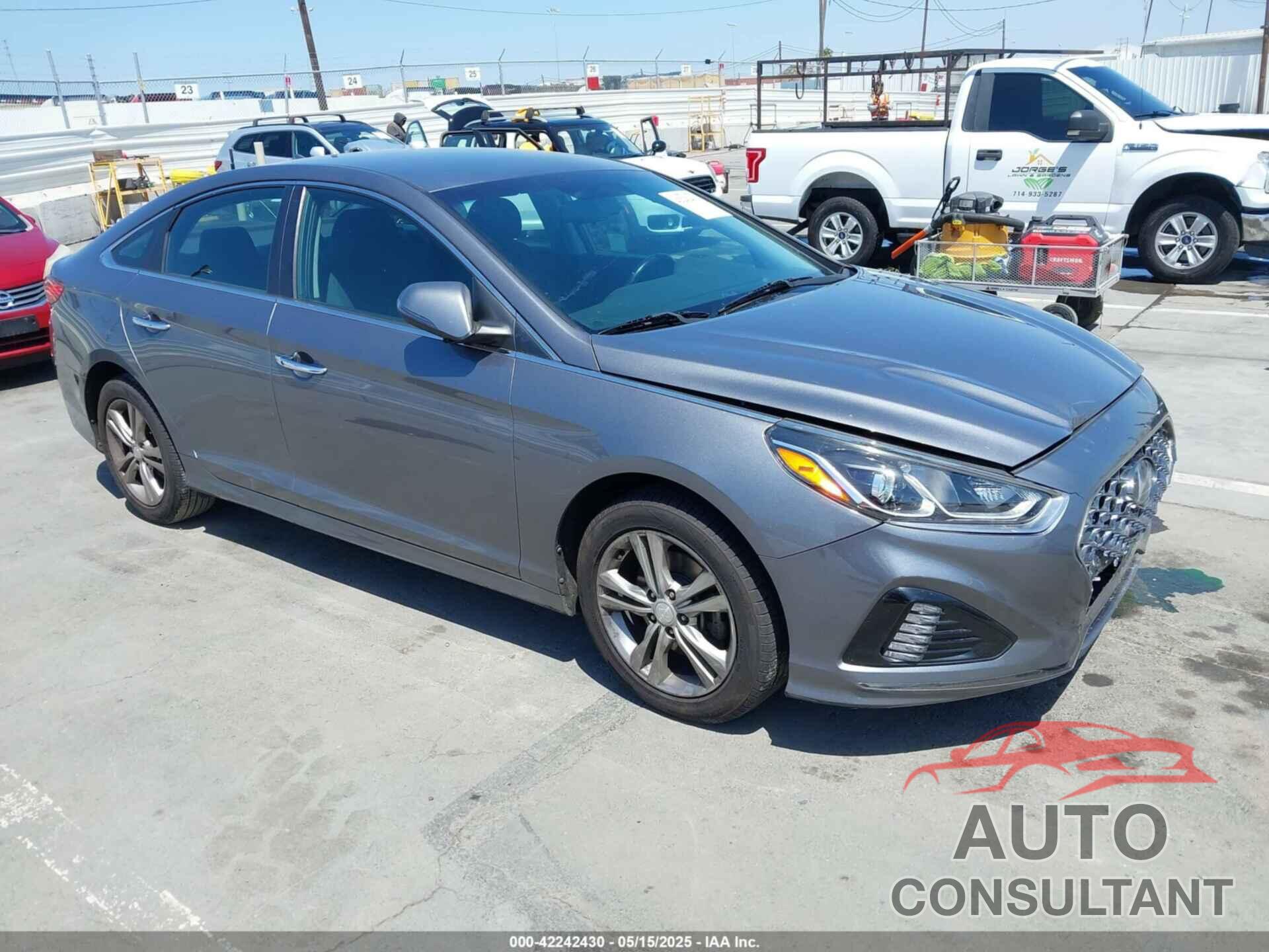 HYUNDAI SONATA 2019 - 5NPE34AF6KH815722