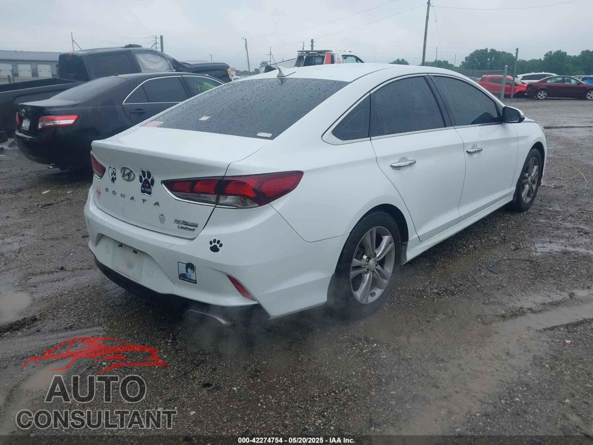 HYUNDAI SONATA 2019 - 5NPE34AF2KH733583