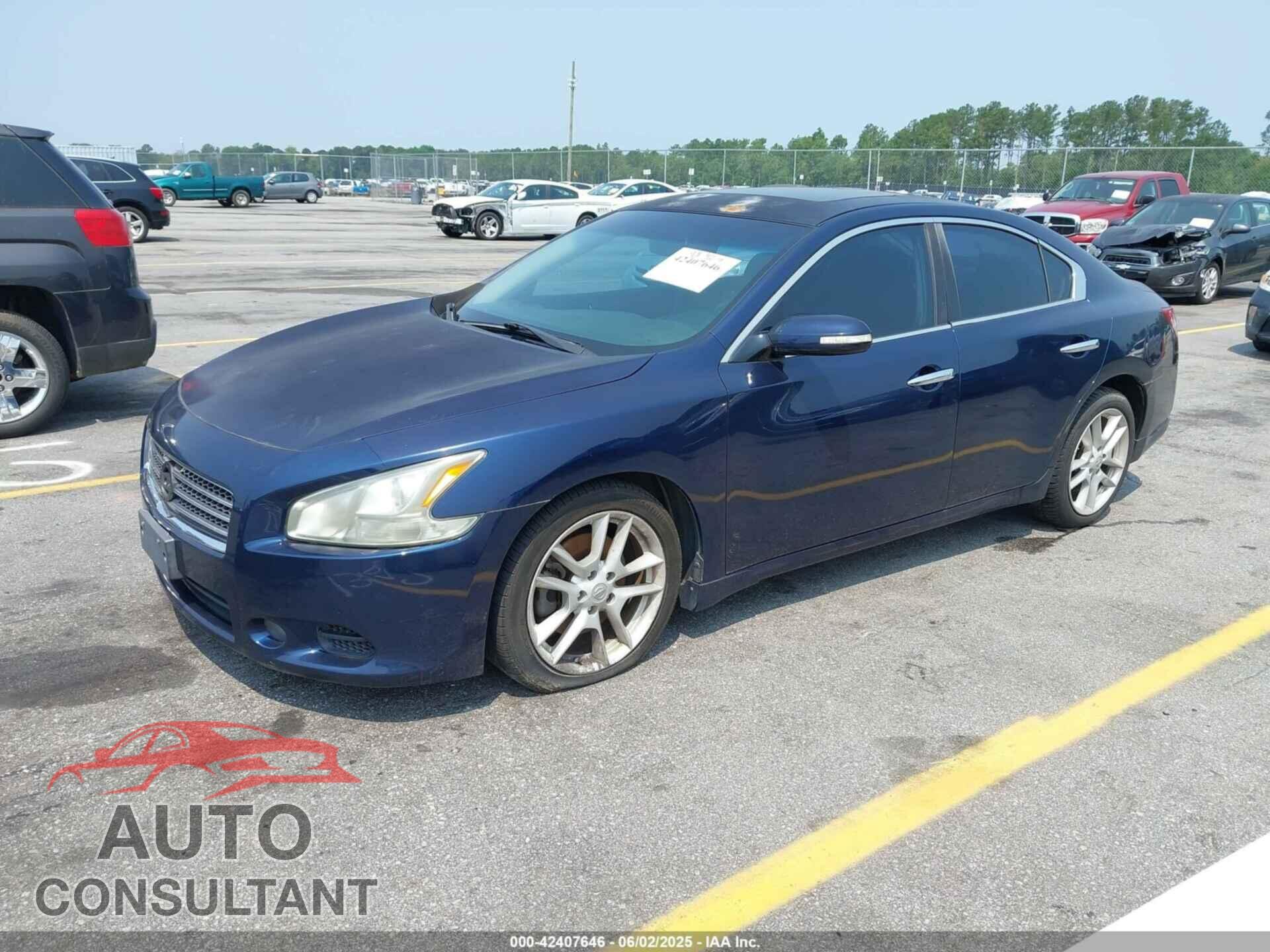 NISSAN MAXIMA 2011 - 1N4AA5AP7BC843677