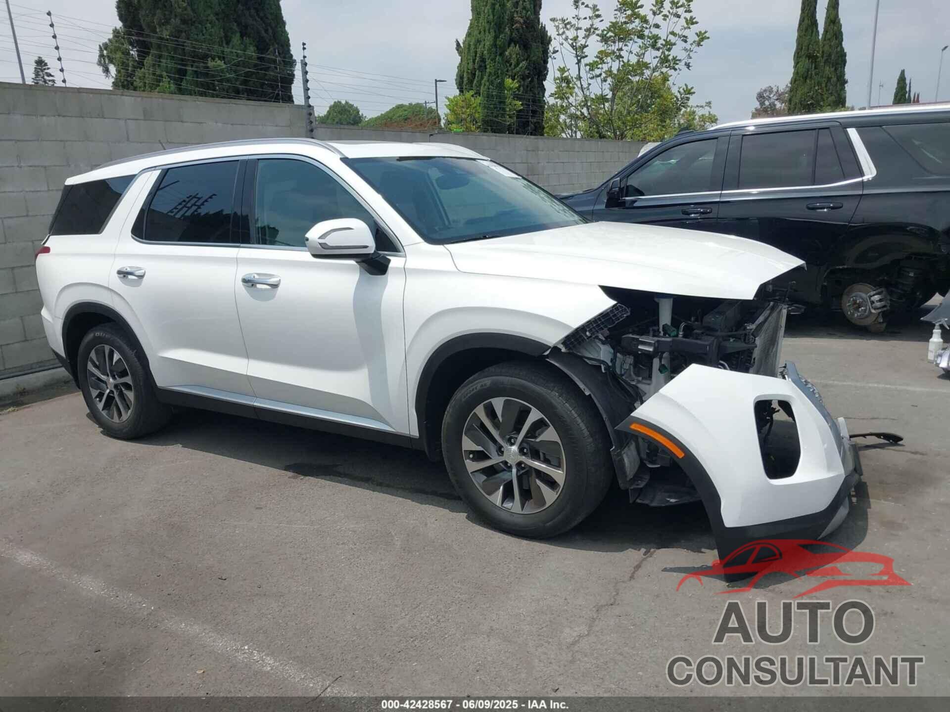 HYUNDAI PALISADE 2021 - KM8R24HE0MU318235