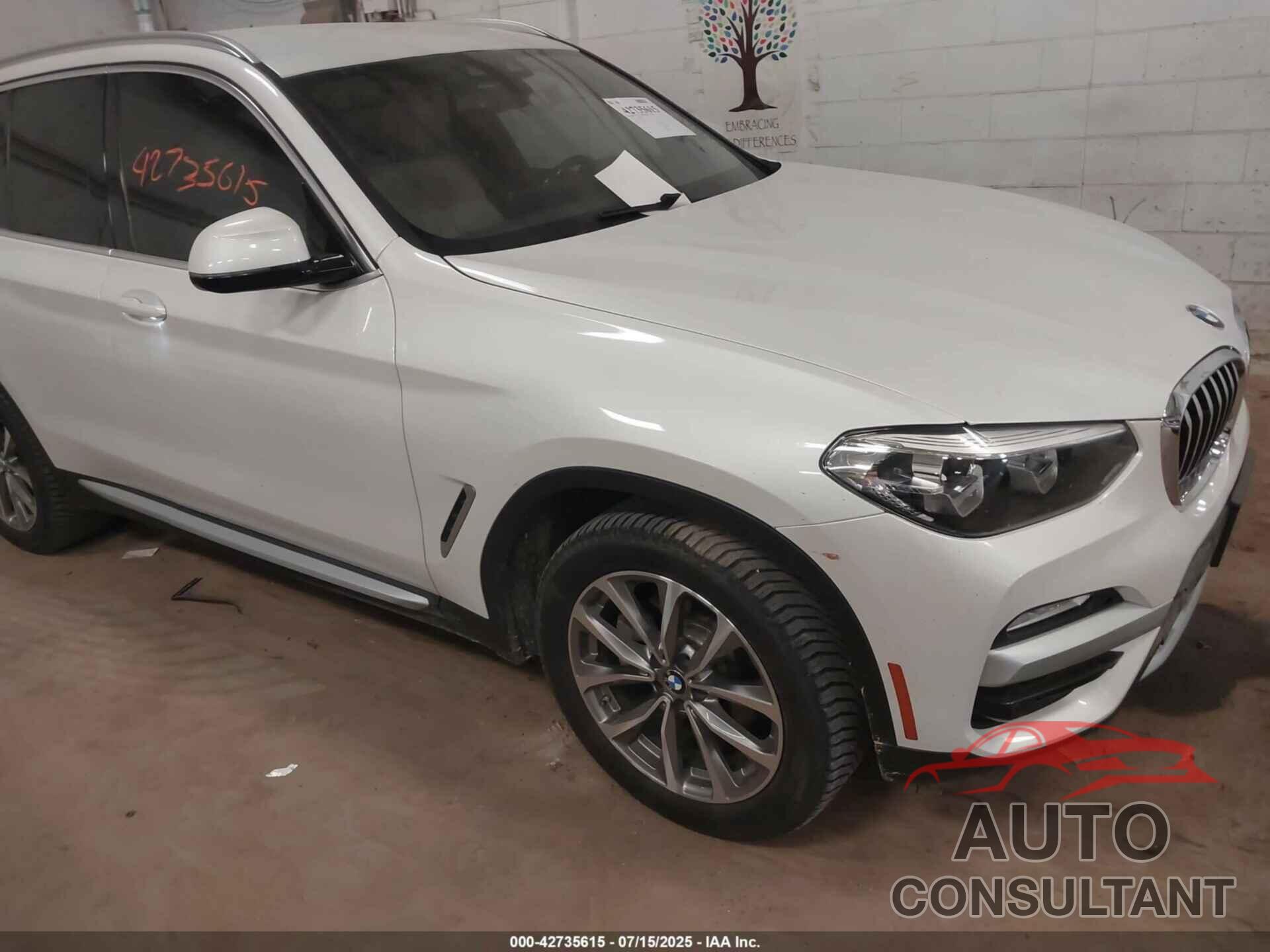 BMW X3 2019 - 5UXTR9C52KLE12017