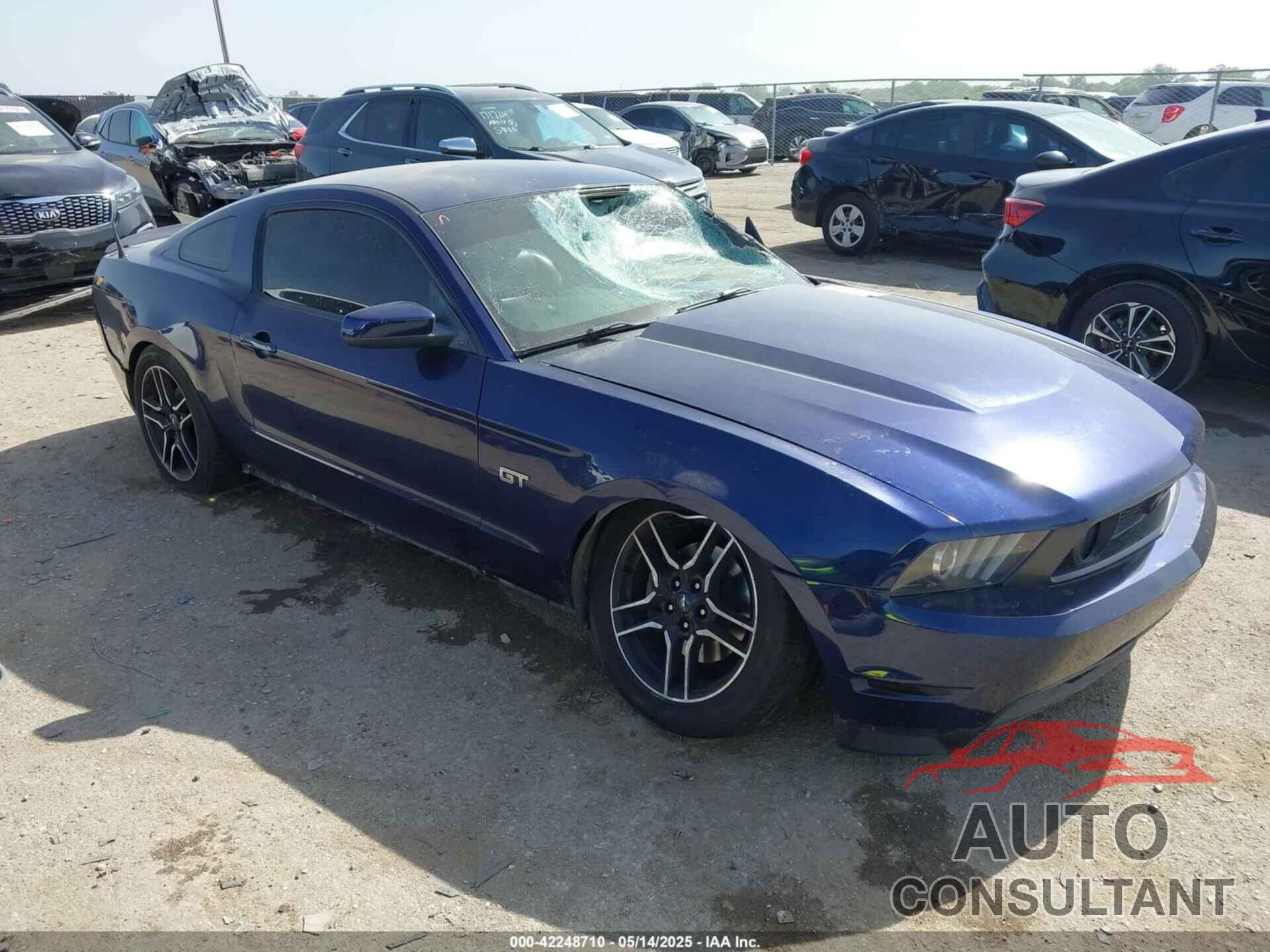 FORD MUSTANG 2010 - 1ZVBP8CH4A5135262