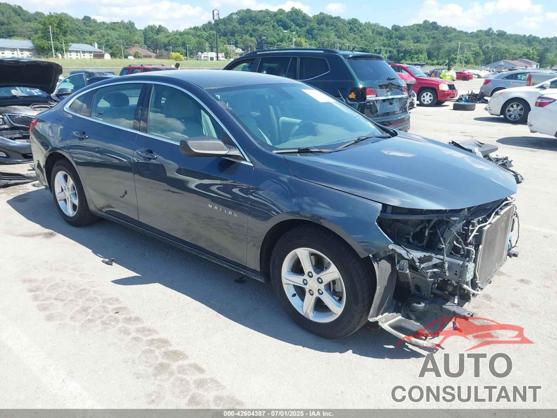 CHEVROLET MALIBU 2019 - 1G1ZC5ST2KF185521