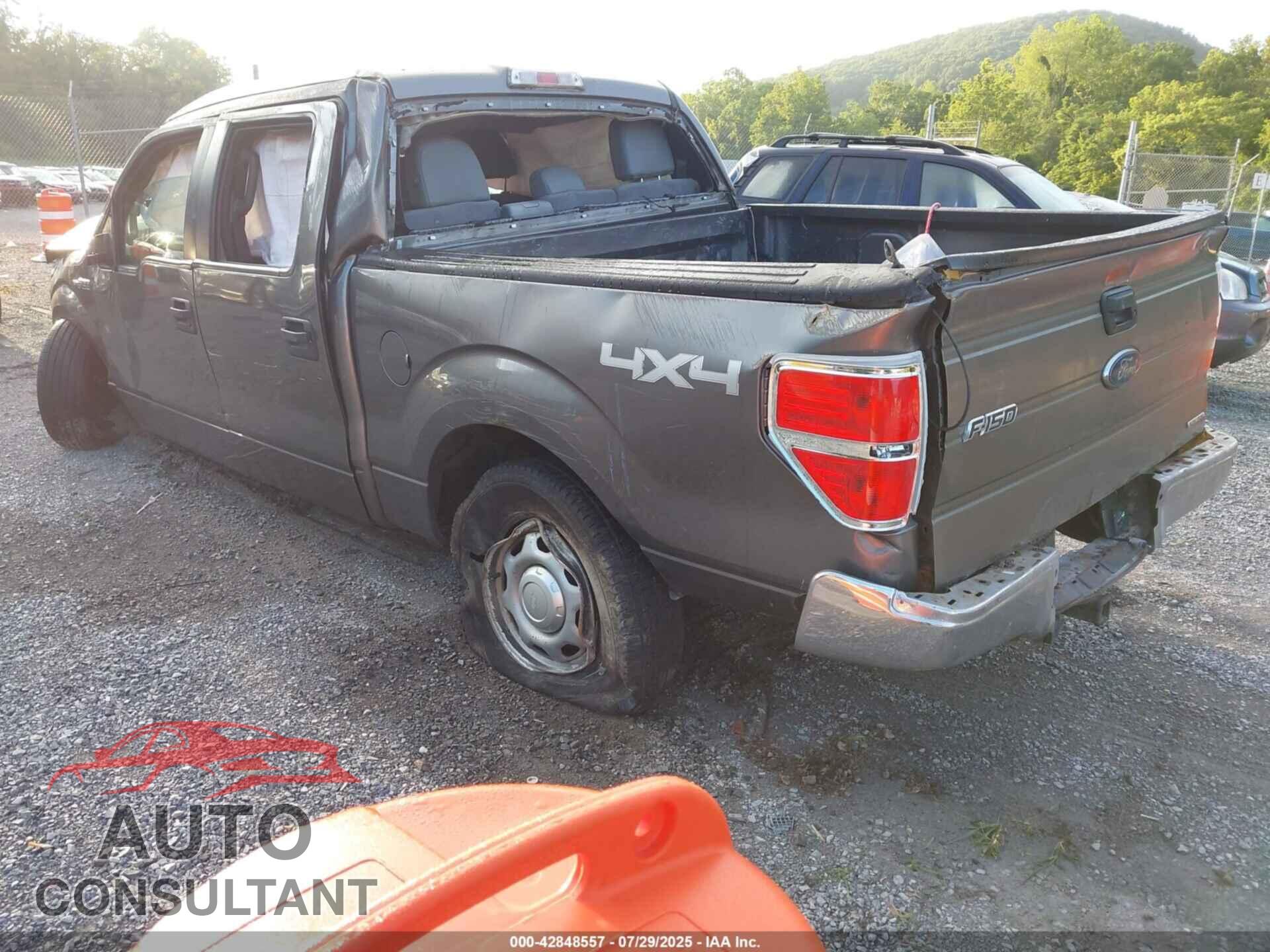 FORD F-150 2013 - 1FTFW1EF7DFD95163