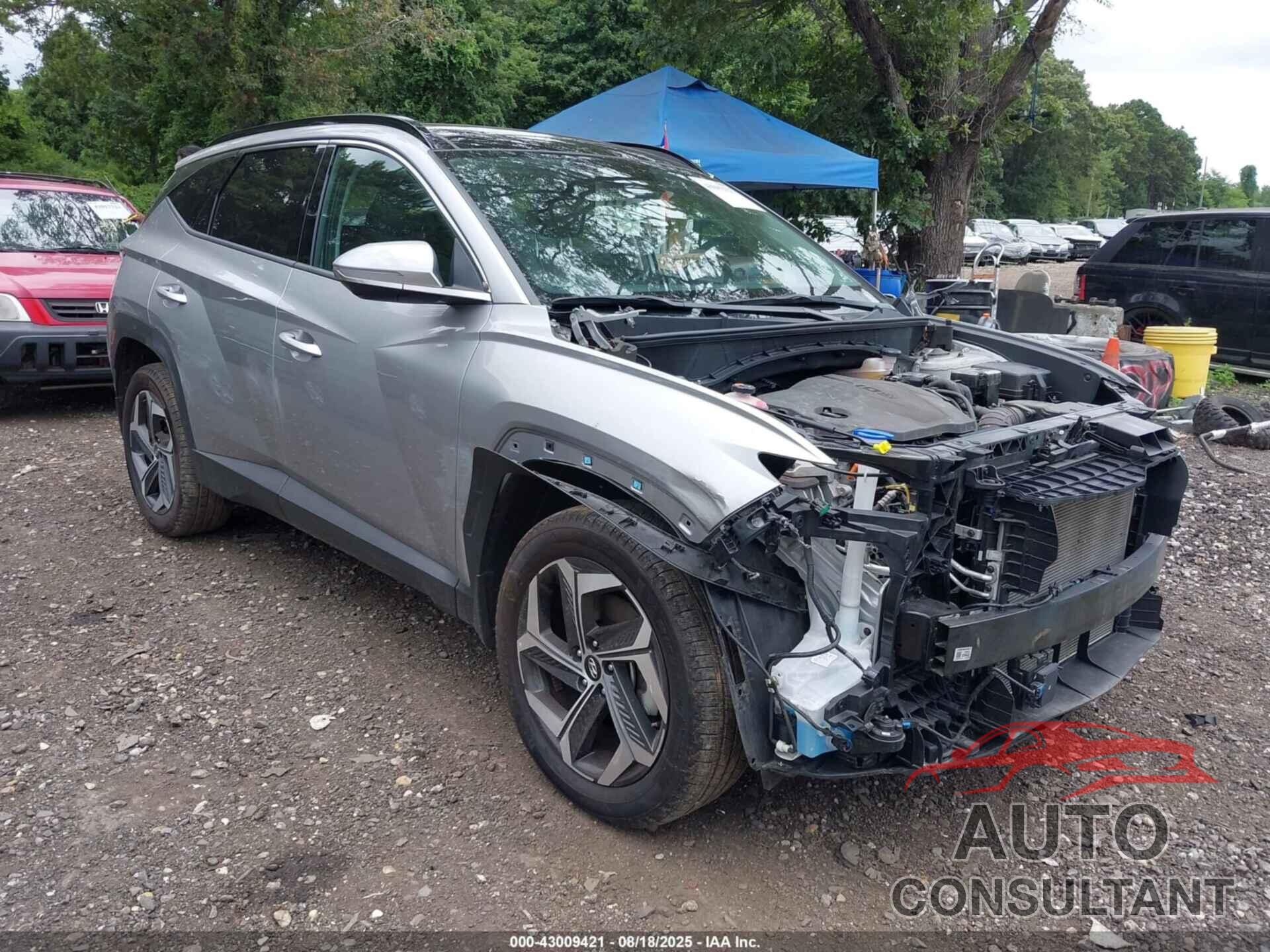 HYUNDAI TUCSON 2023 - 5NMJECAE5PH201551