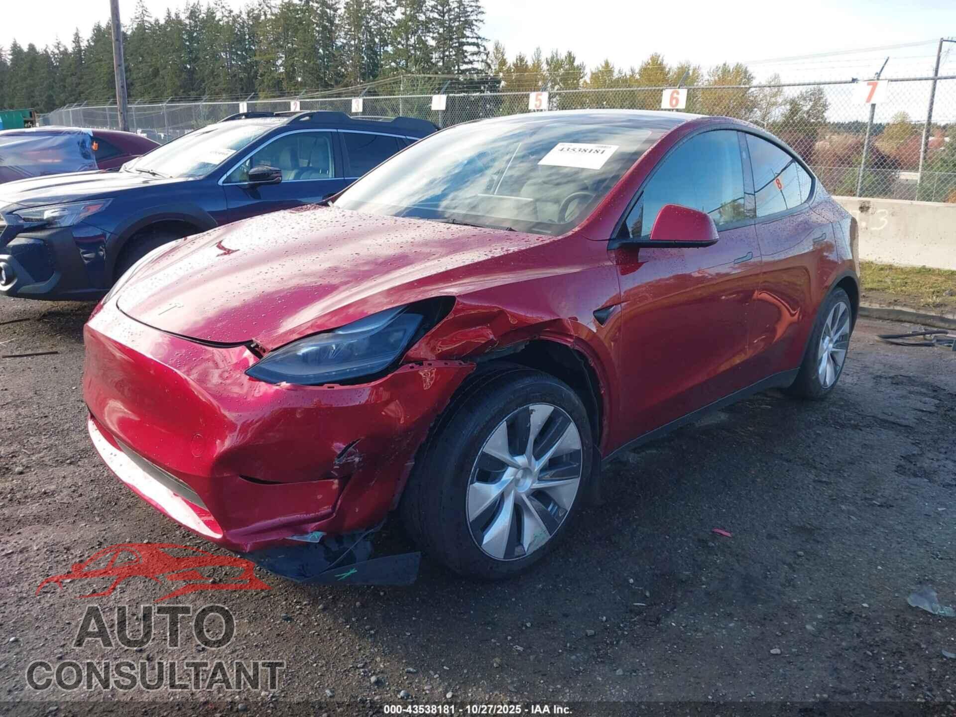 TESLA MODEL Y 2024 - 7SAYGDED7RF041311