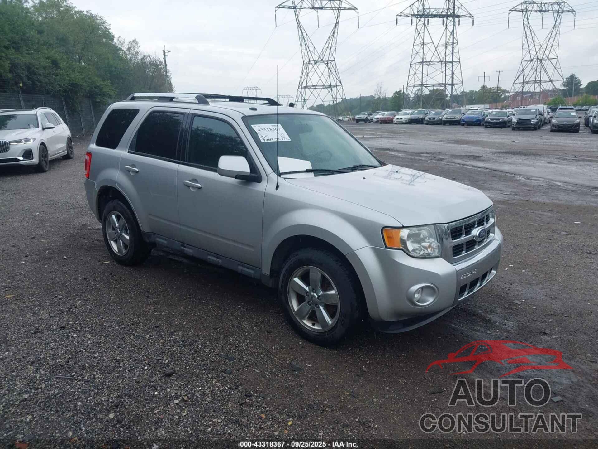 FORD ESCAPE 2011 - 1FMCU9EG5BKA90759