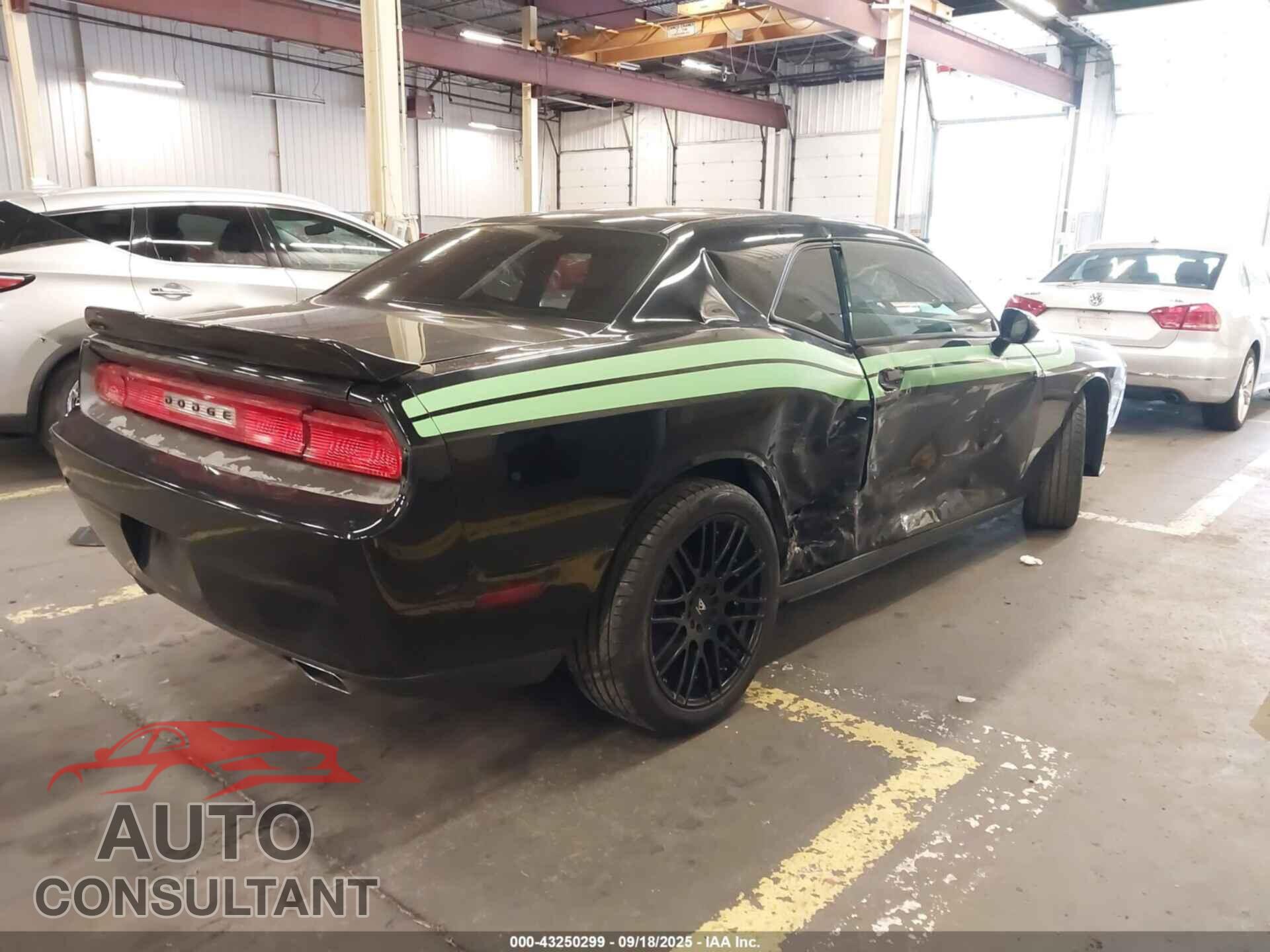 DODGE CHALLENGER 2013 - 2C3CDYAG7DH704245