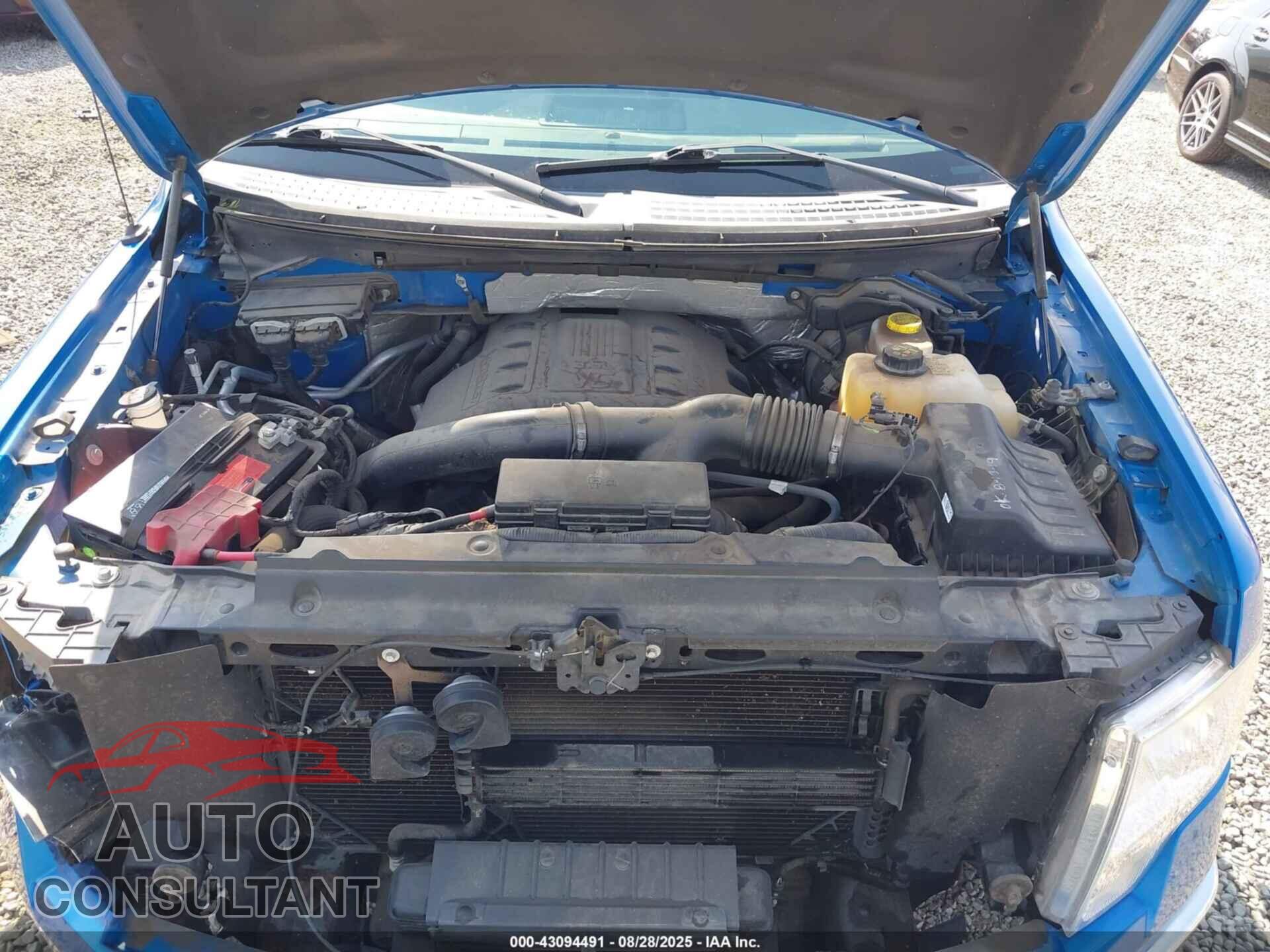 FORD F-150 2014 - 1FTFX1ET4EFB10455