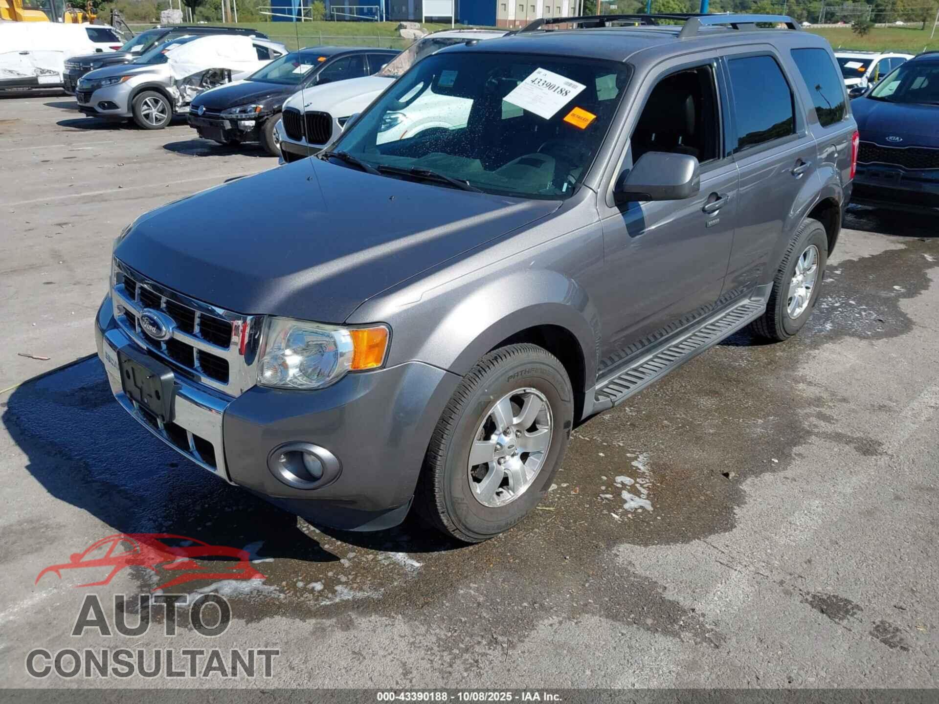 FORD ESCAPE 2011 - 1FMCU0EG3BKC70530