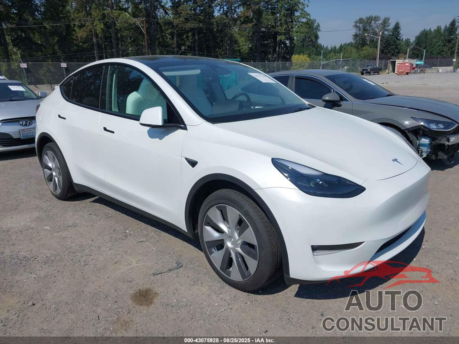 TESLA MODEL Y 2023 - 7SAYGDEE1PF816935
