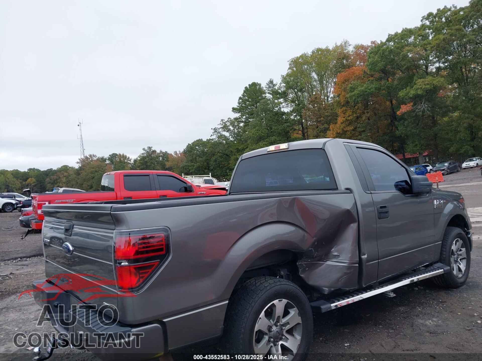 FORD F-150 2013 - 1FTMF1CF3DFB14499