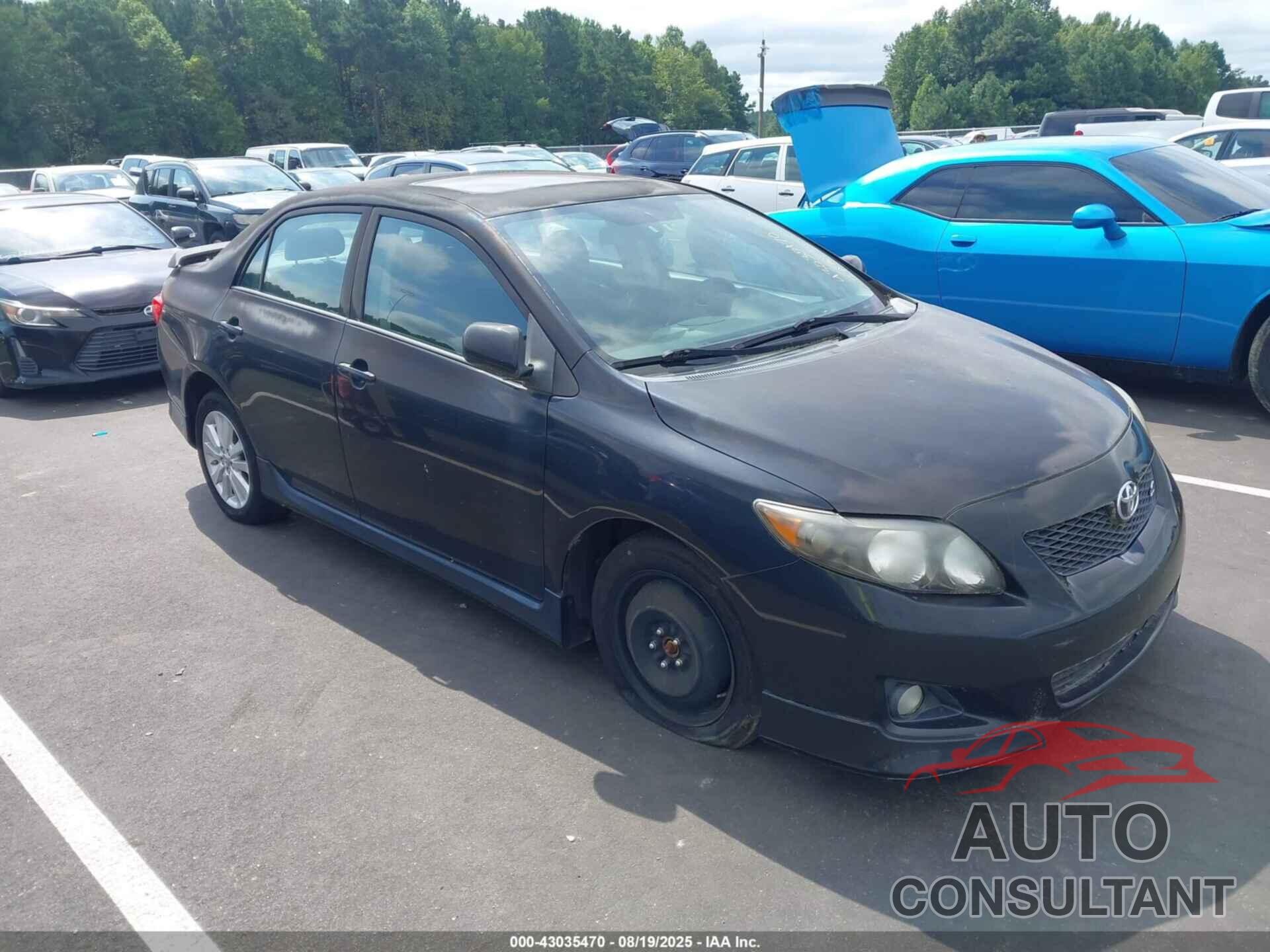 TOYOTA COROLLA 2010 - 2T1BU4EEXAC364264