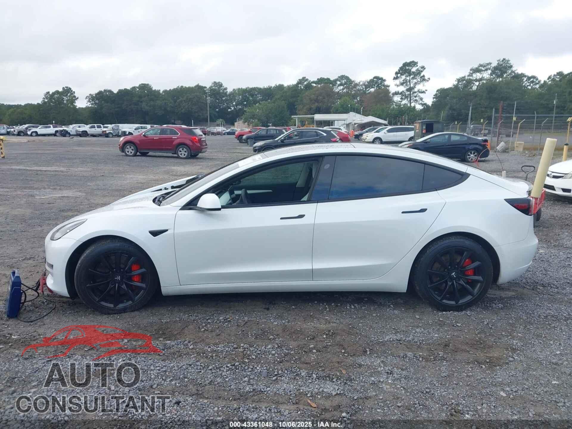 TESLA MODEL 3 2021 - 5YJ3E1EC9MF985056